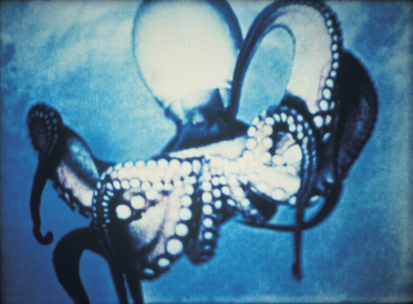 An octopus wraps its tentacles around a light bulb against a blue background.