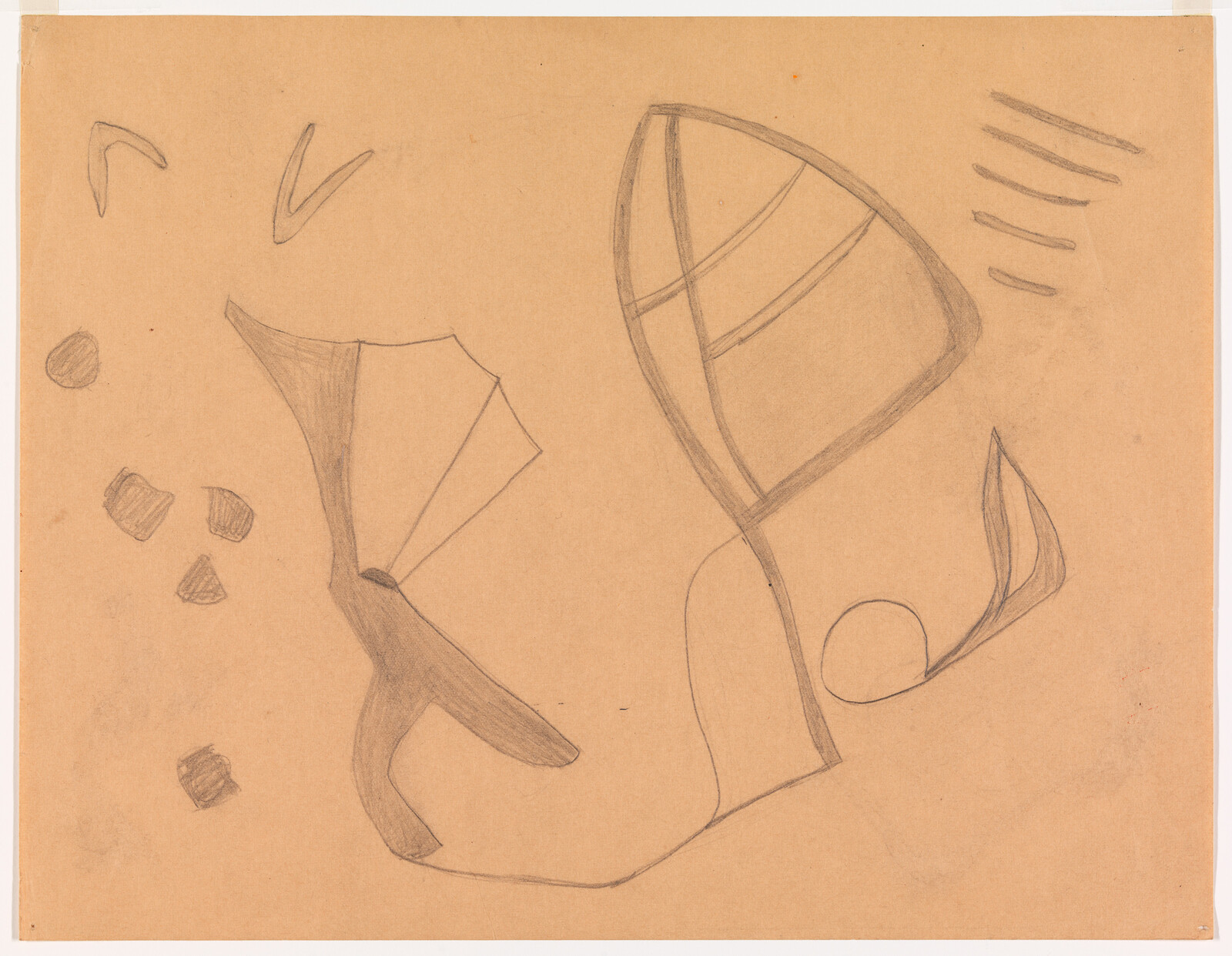 Abstract pencil drawing of curved and leaf-like shapes on tan paper.