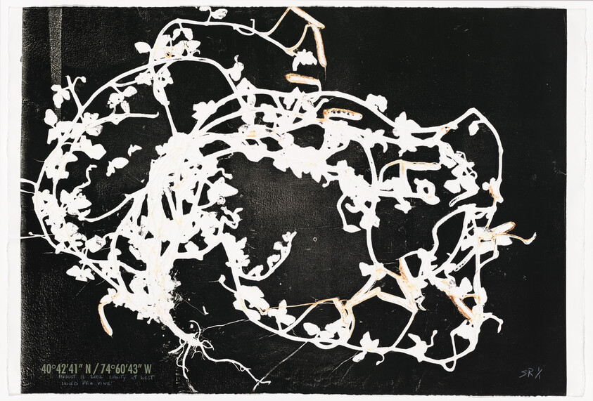 Tangled white vines and roots arranged in a circular pattern on a black background.