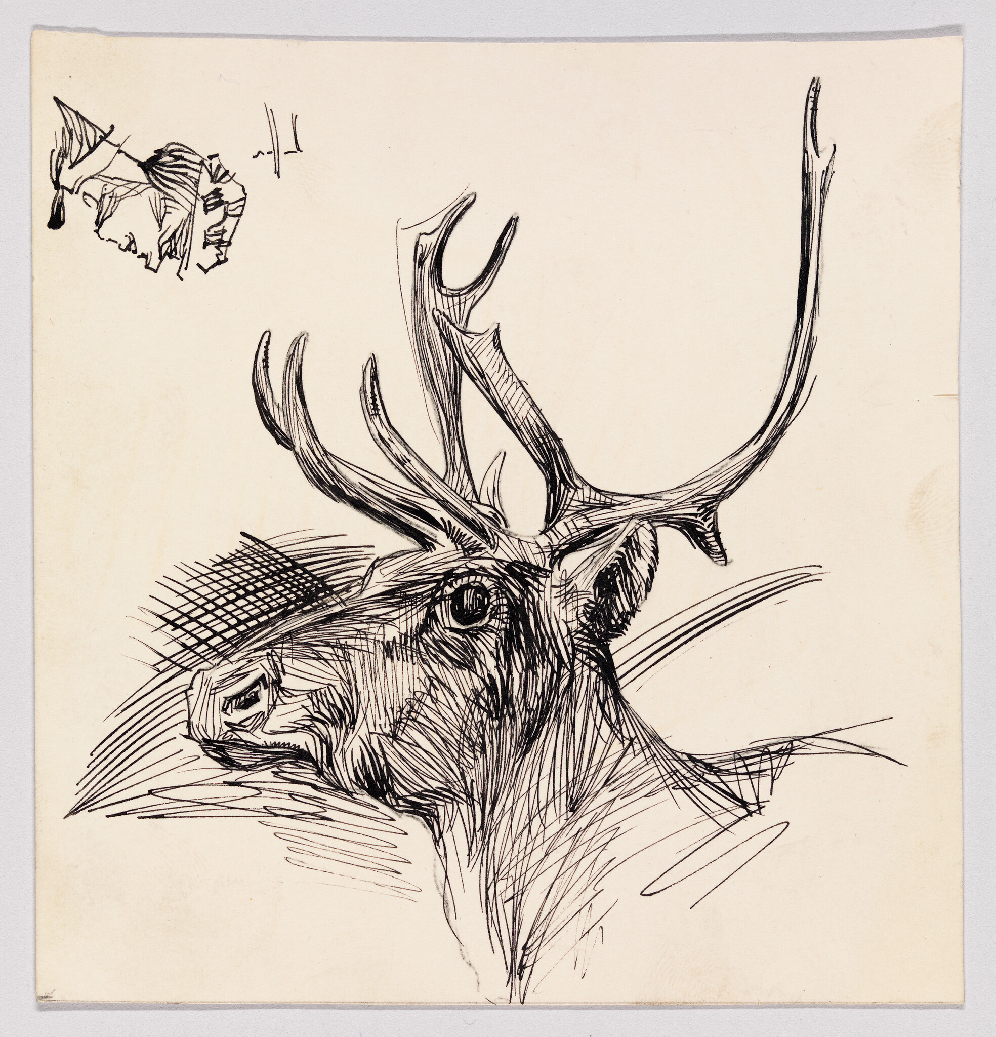 A detailed pen sketch of a stag head with large branching antlers and a small doodle.
