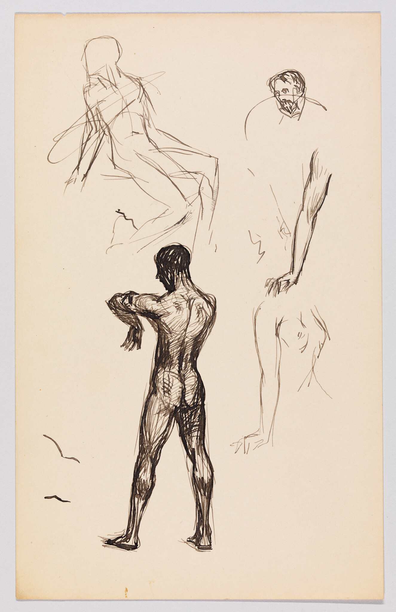 A page of ink sketches showing a standing nude man seen from the back adjusting his arm.