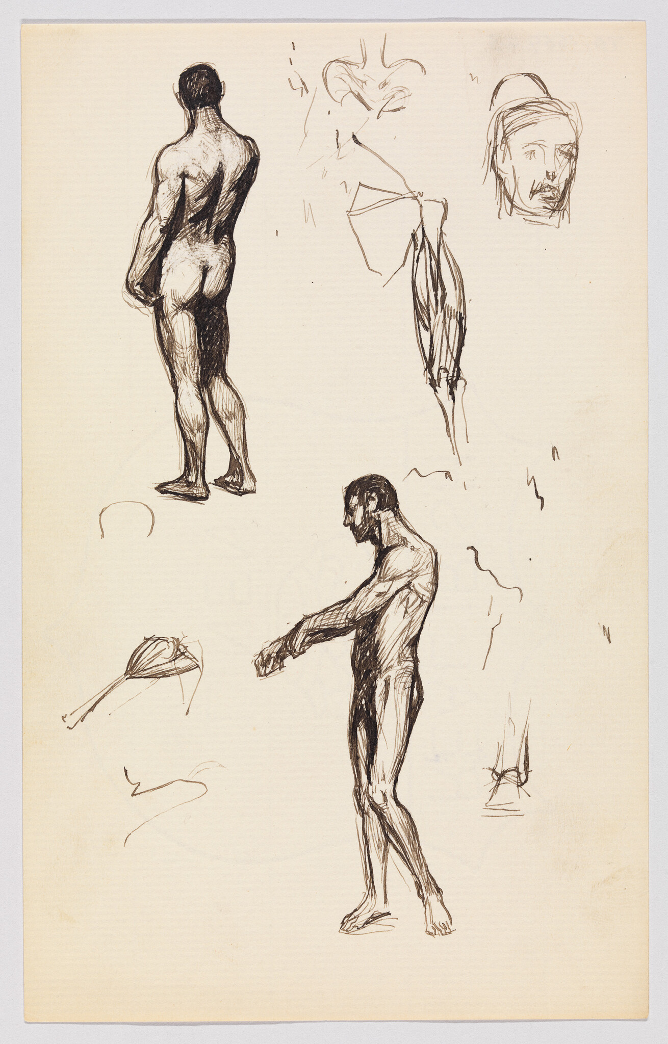 Two ink sketches of a standing nude male from back and side, with small anatomical studies.
