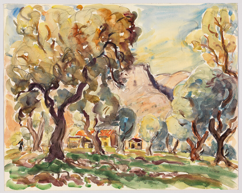 A sunlit village with small red-roof houses nestled among large olive trees and distant hills.