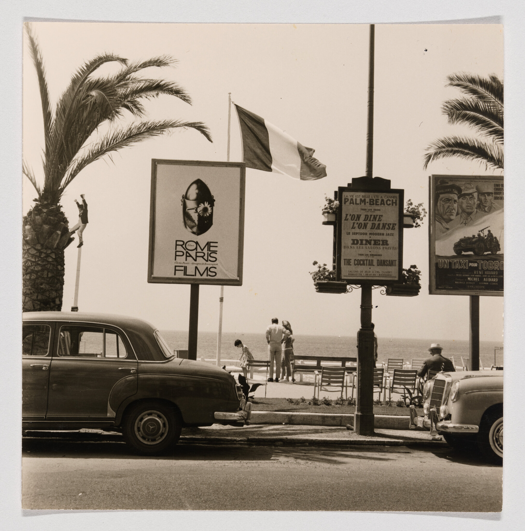 Vintage cars parked on a palm-lined seaside promenade with people standing and a French flag.