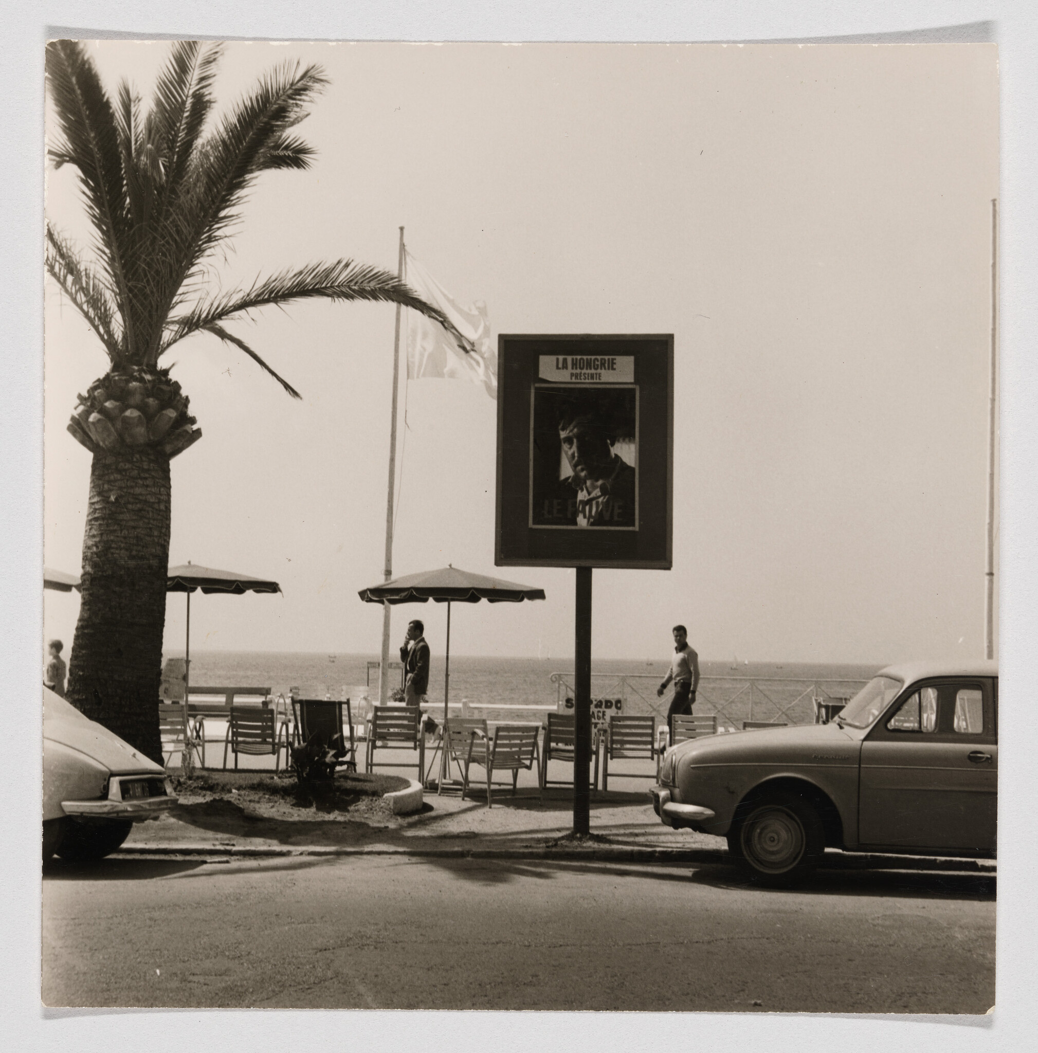 A palm-lined seaside promenade with a movie poster billboard, parked cars, umbrellas, and people walking.