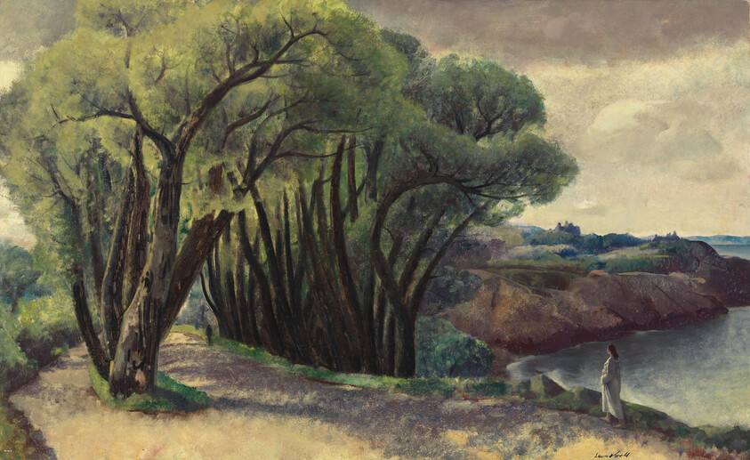 A person stands on a rocky shoreline looking out over calm water and distant hills.