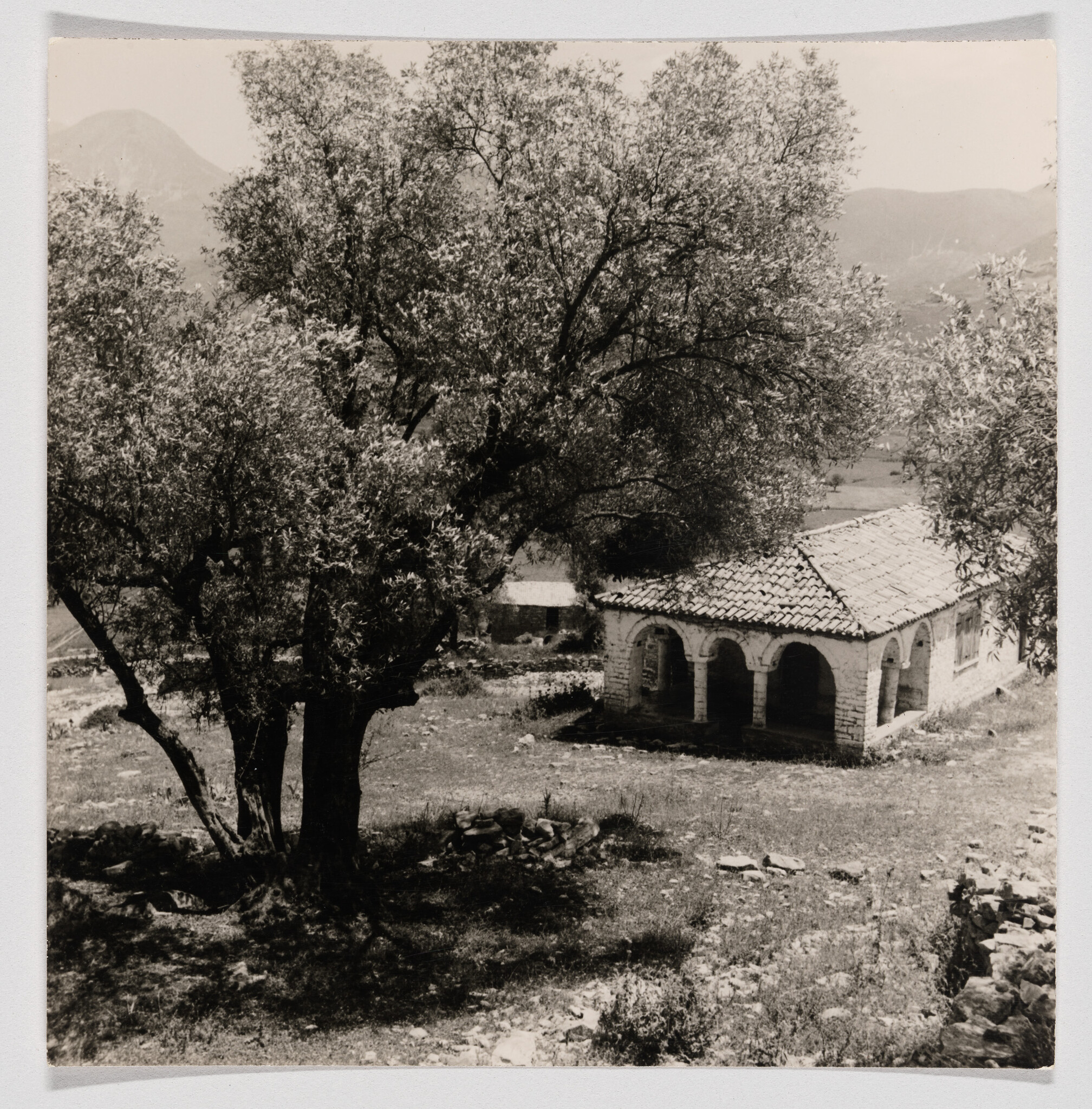 Old stone house with an arched porch sits under a large tree in a rural landscape.