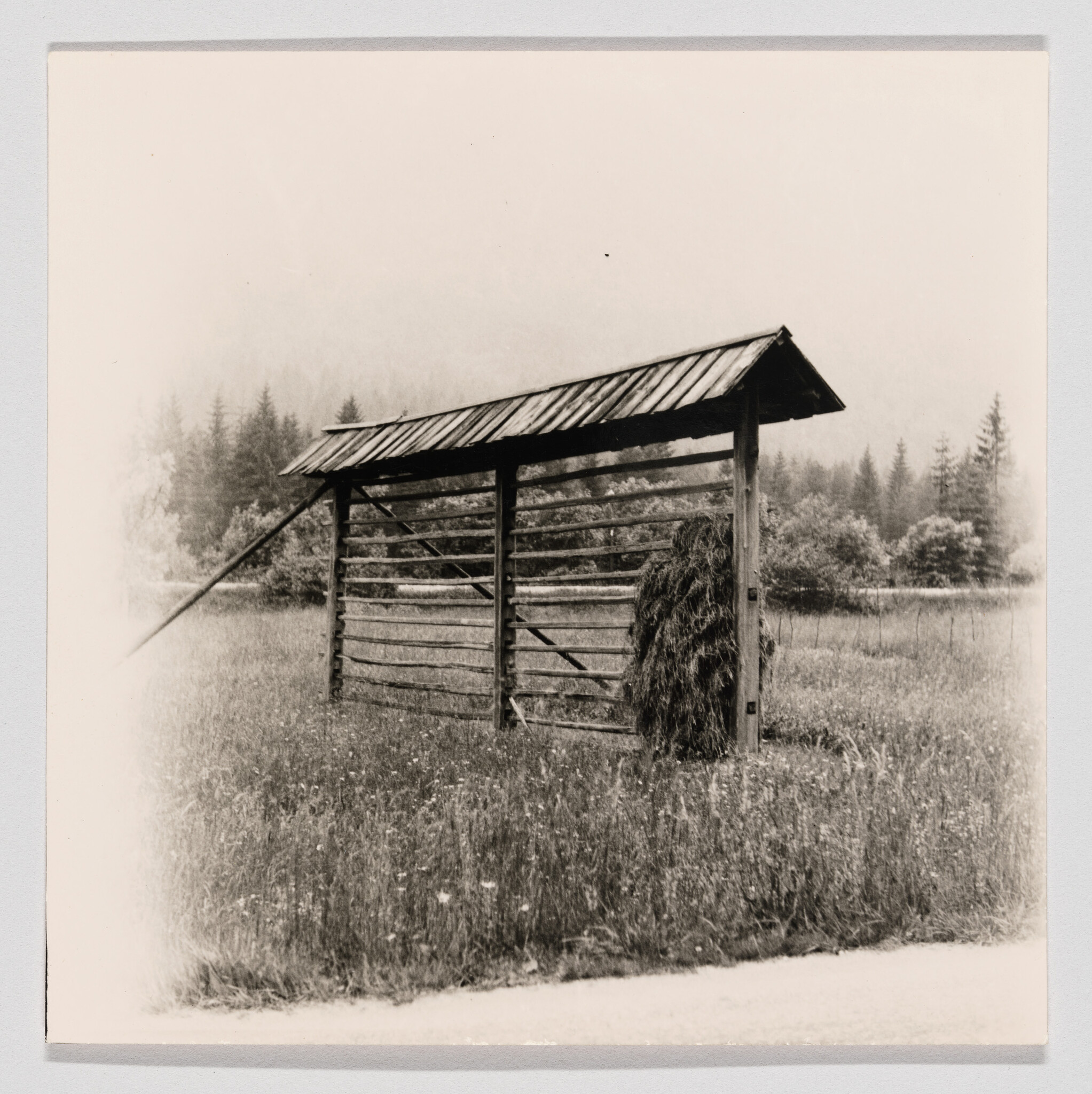 A wooden hay rack with piled hay stands in a grassy field with trees behind it.