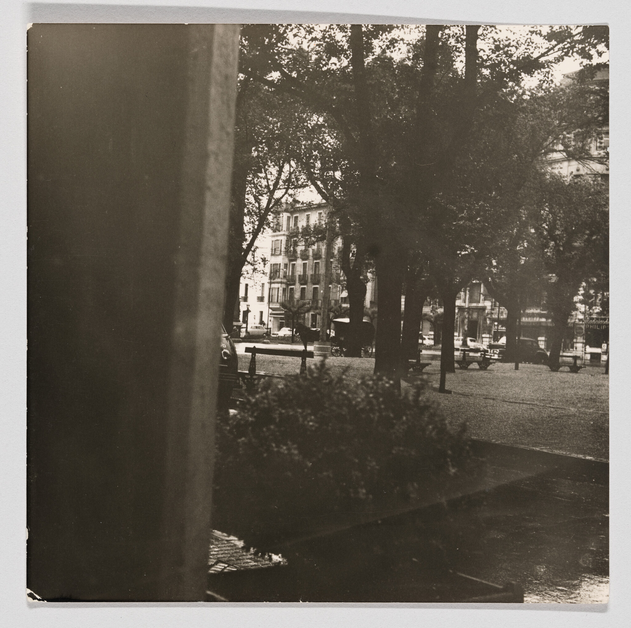 Park square with trees and benches in front of multi-story buildings and parked cars.