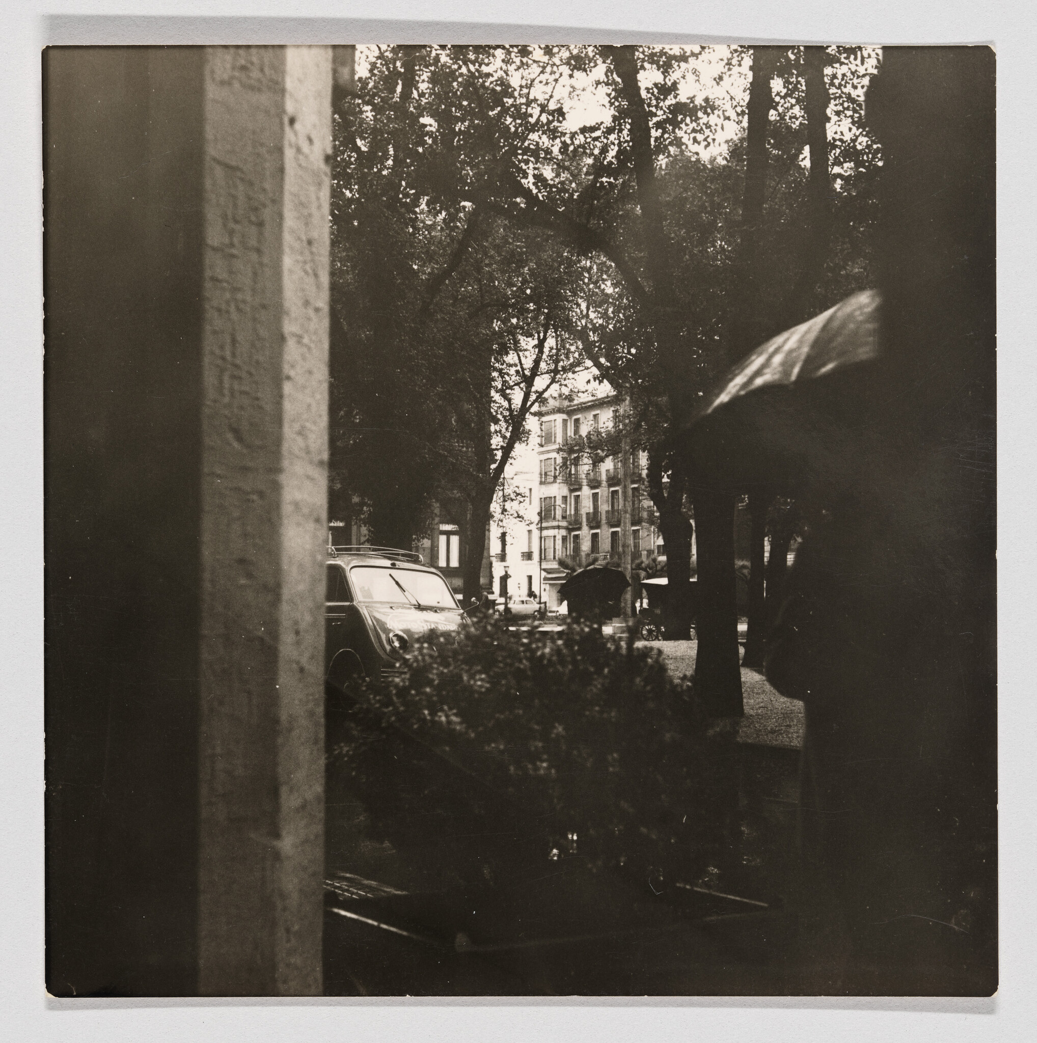 Person holding an umbrella stands on a tree-lined street with parked car and buildings.