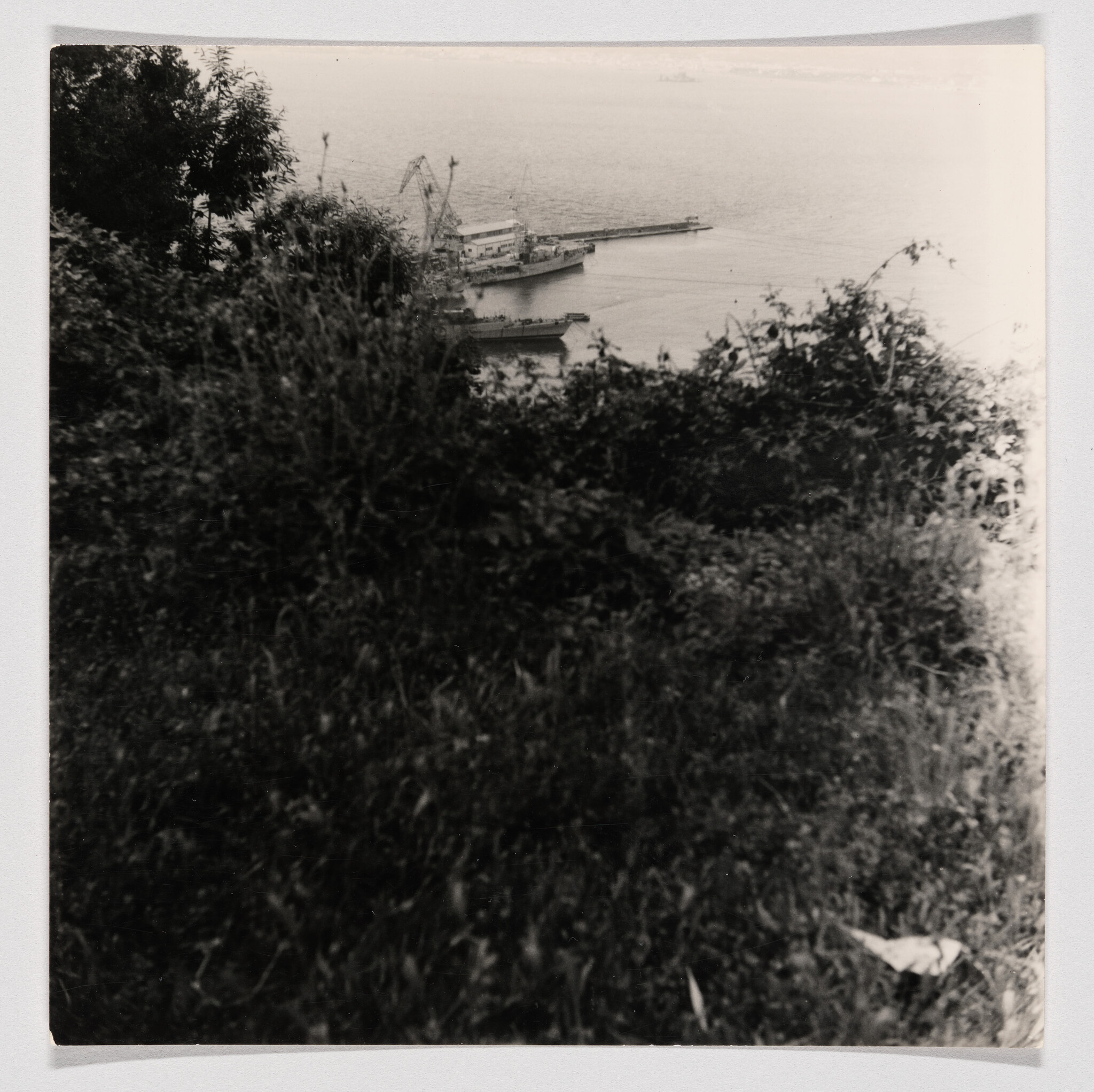 Overgrown hillside overlooks a small harbor with cranes and docked ships on calm water.
