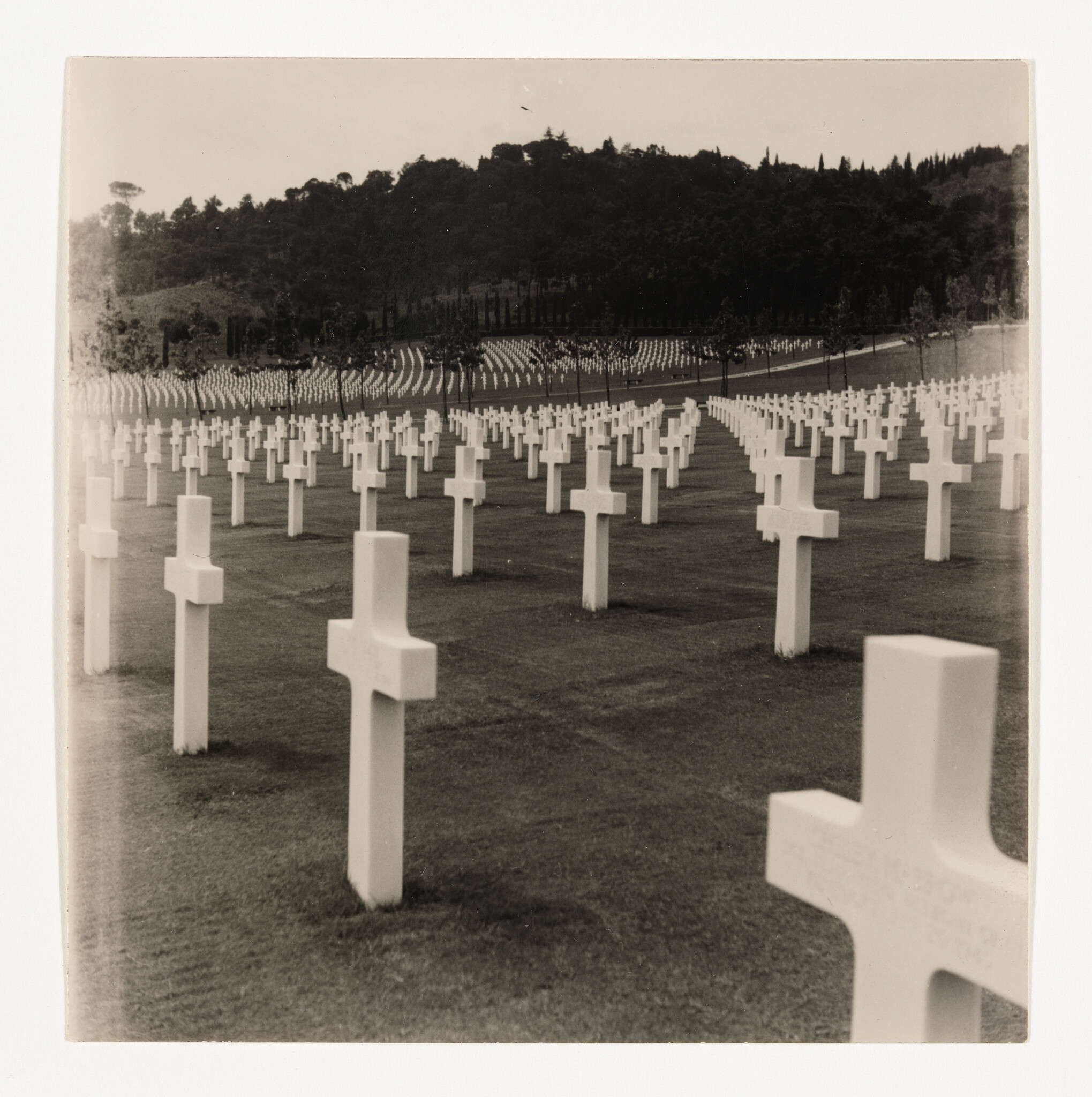 Rows of white cross headstones extend across a military cemetery on gently sloping grass.