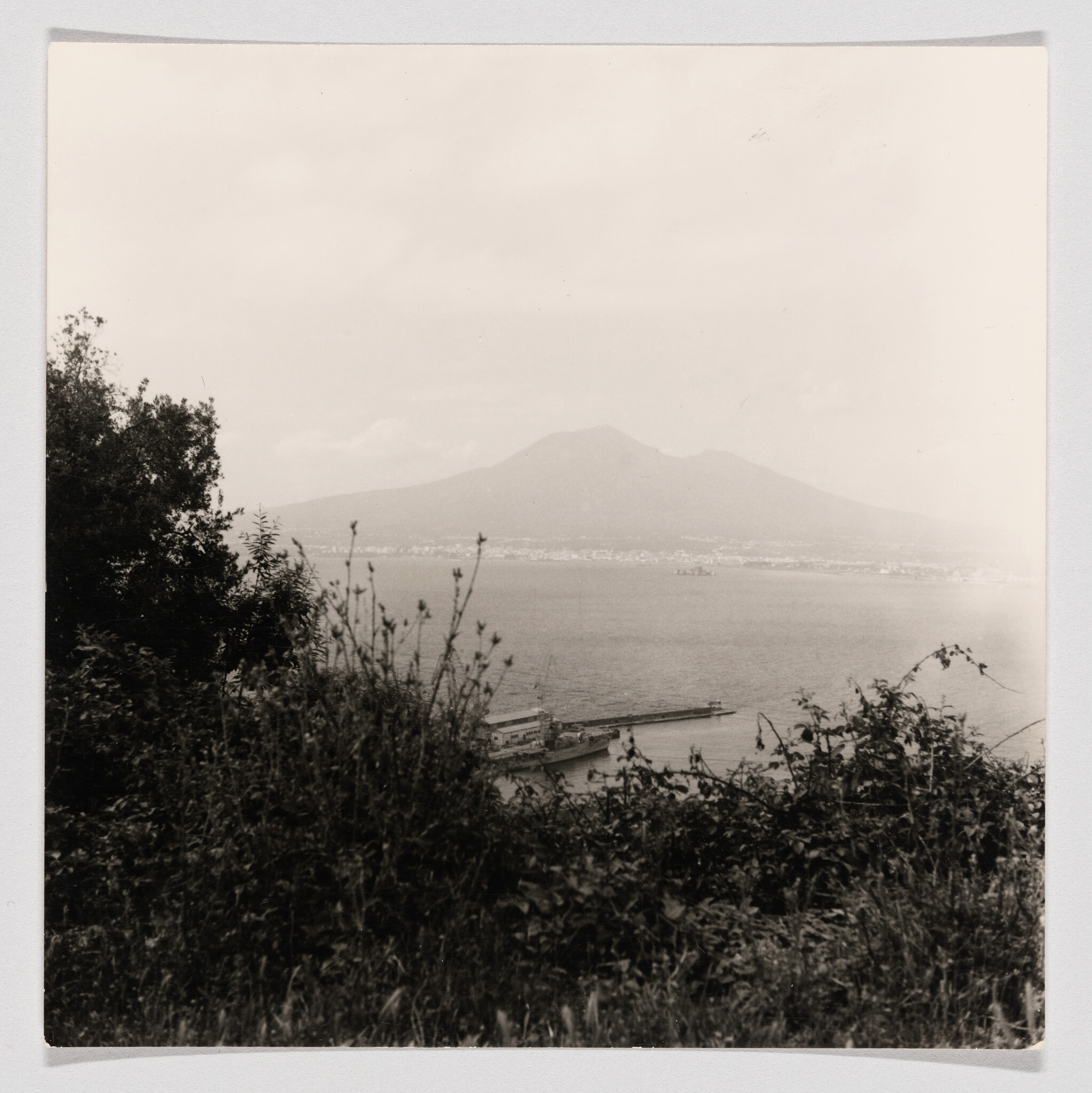 A misty mountain rises across the bay with a pier and wild plants in the foreground.
