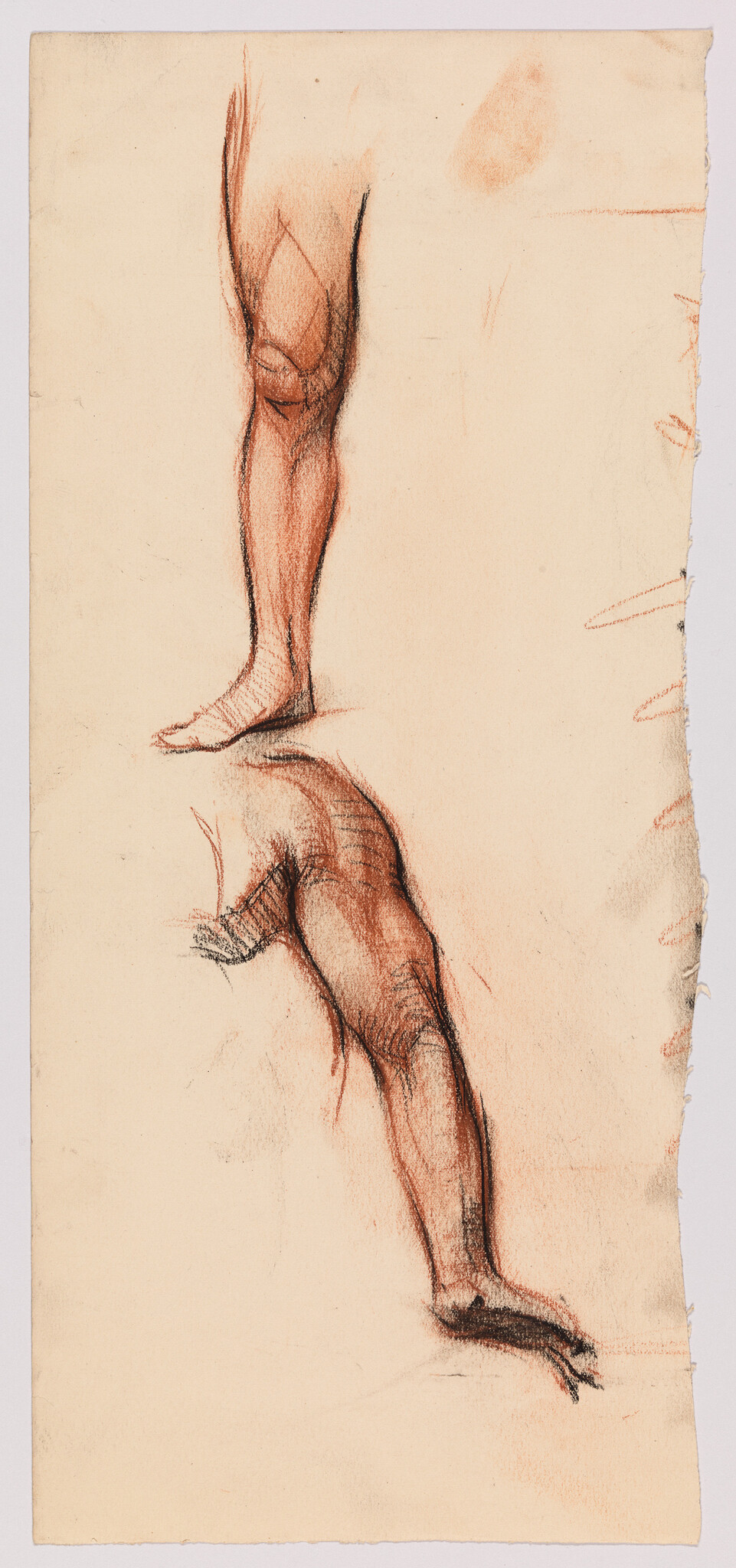 Two charcoal and red chalk studies of a human leg and foot from different angles.