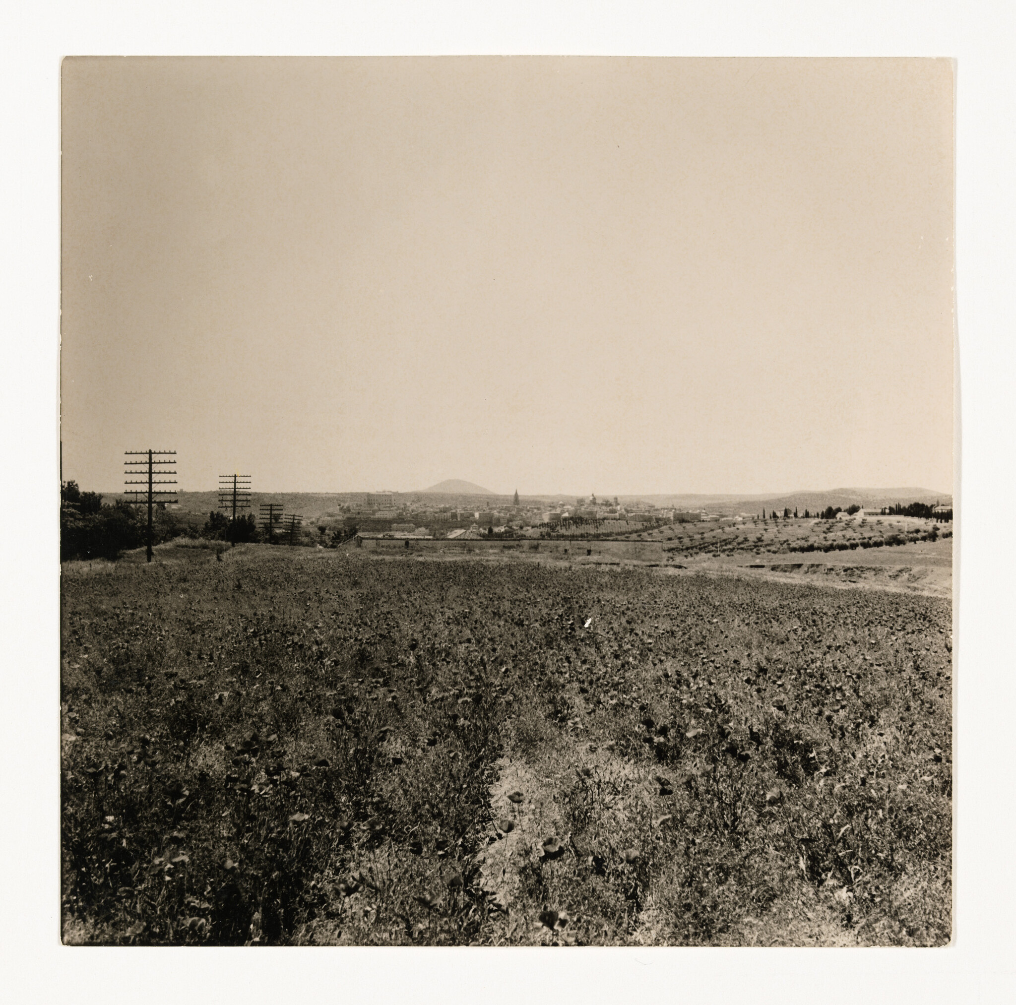 A dry field stretches toward a distant town skyline with rows of telegraph poles on the left.