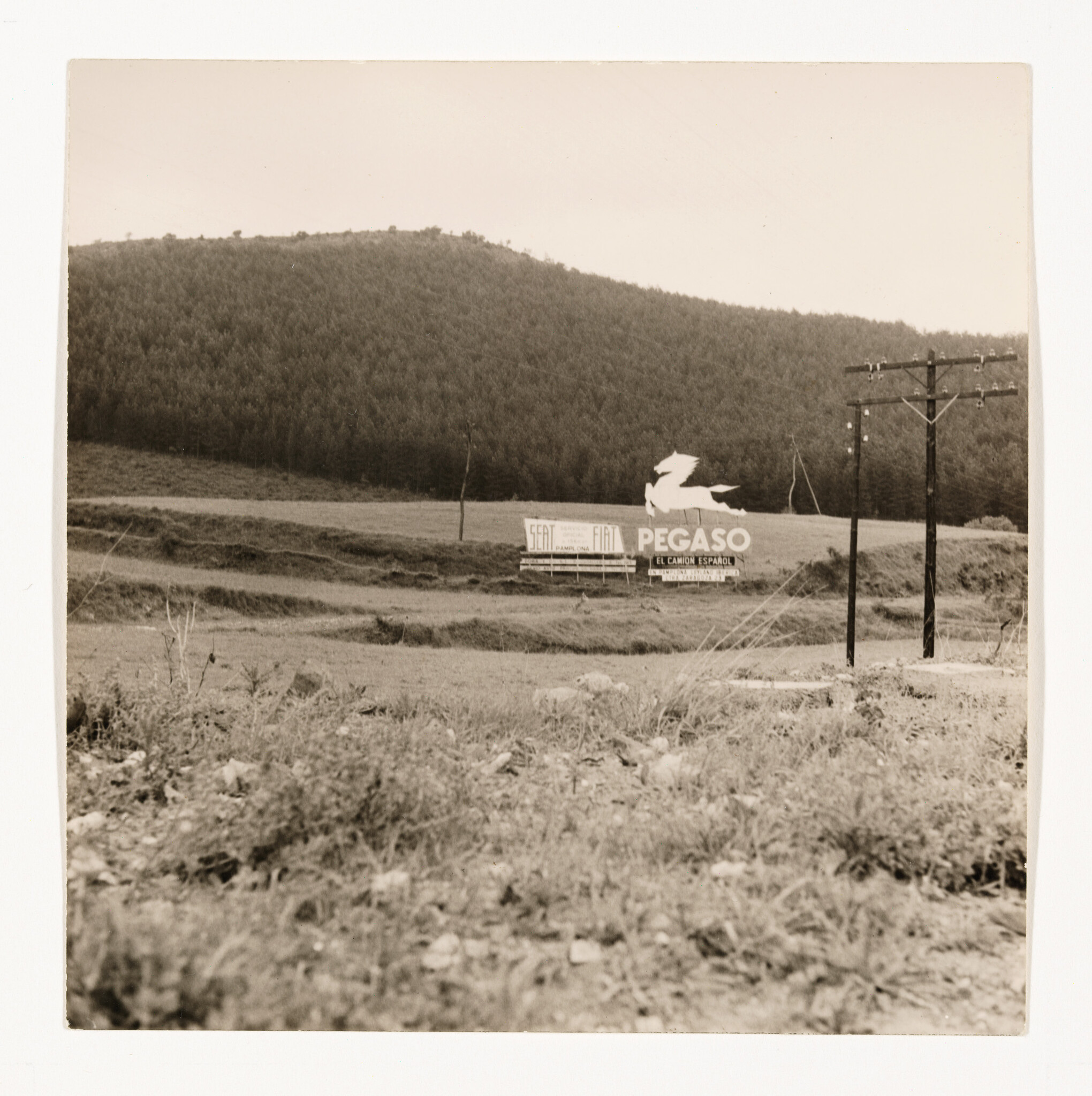 A roadside Pegaso billboard with flying horse logo stands near telegraph poles in open fields.