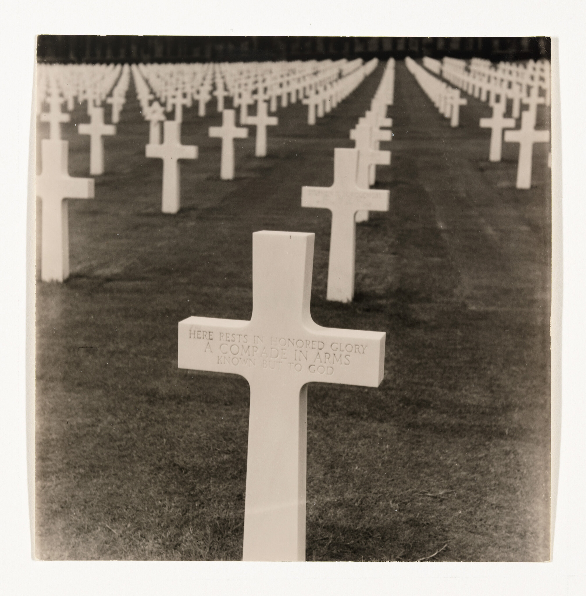 A white grave cross reading "Here rests in honored glory a comrade in arms" with rows of crosses behind.