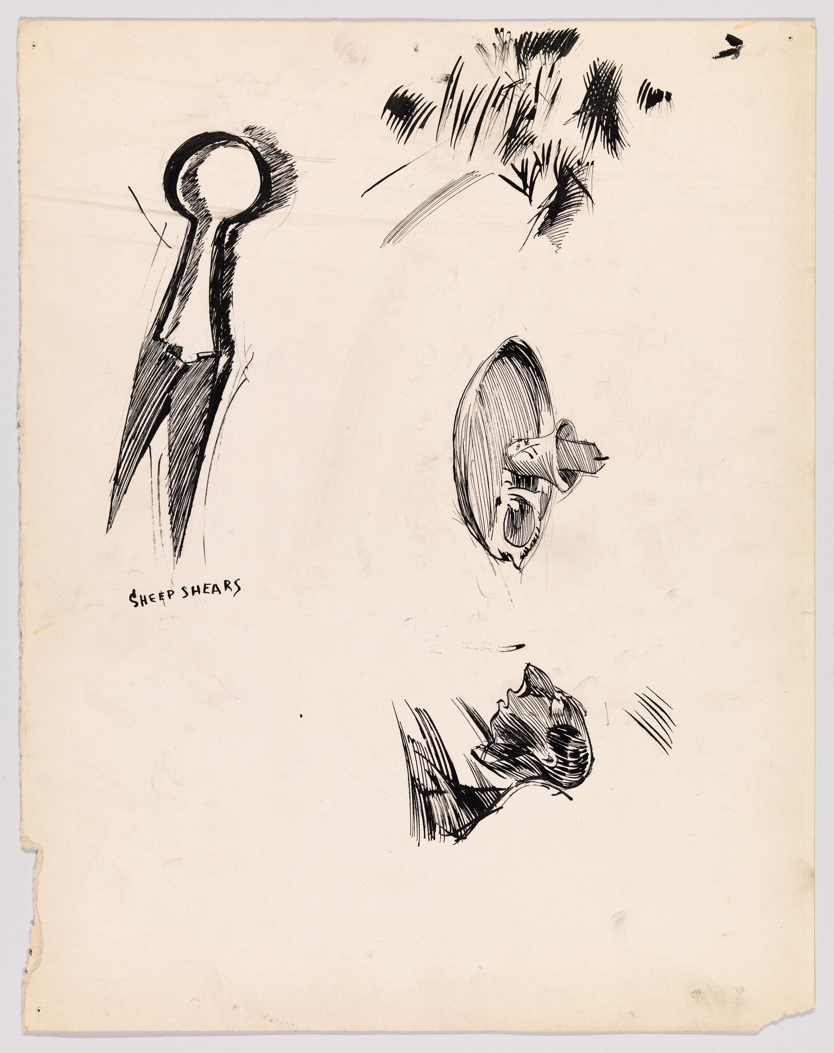 A pen drawing of sheep shears and three quick ink sketches of faces.