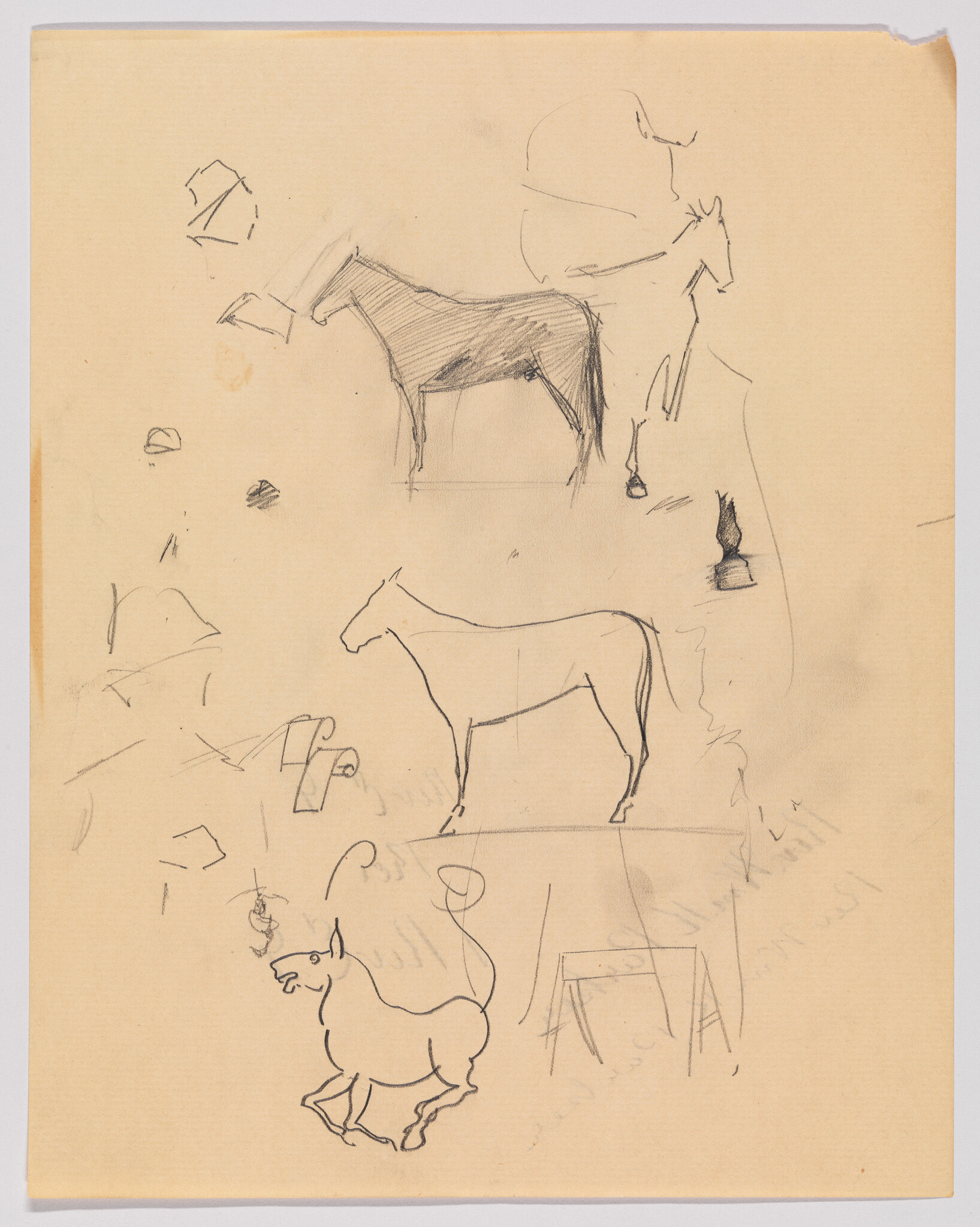 A sketch on a yellowed paper featuring various drawings, including a prominent horse outline at the center, a rough sketch of a horse at the top, and a smaller animal figure at the bottom. There are also several abstract shapes and lines scattered across the page.