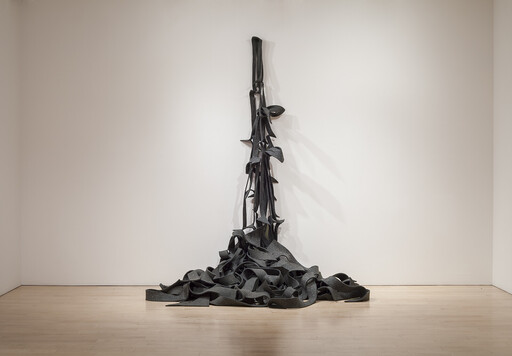 Black ribbon-like strips hang from the wall and spill into a tangled pile on the floor.