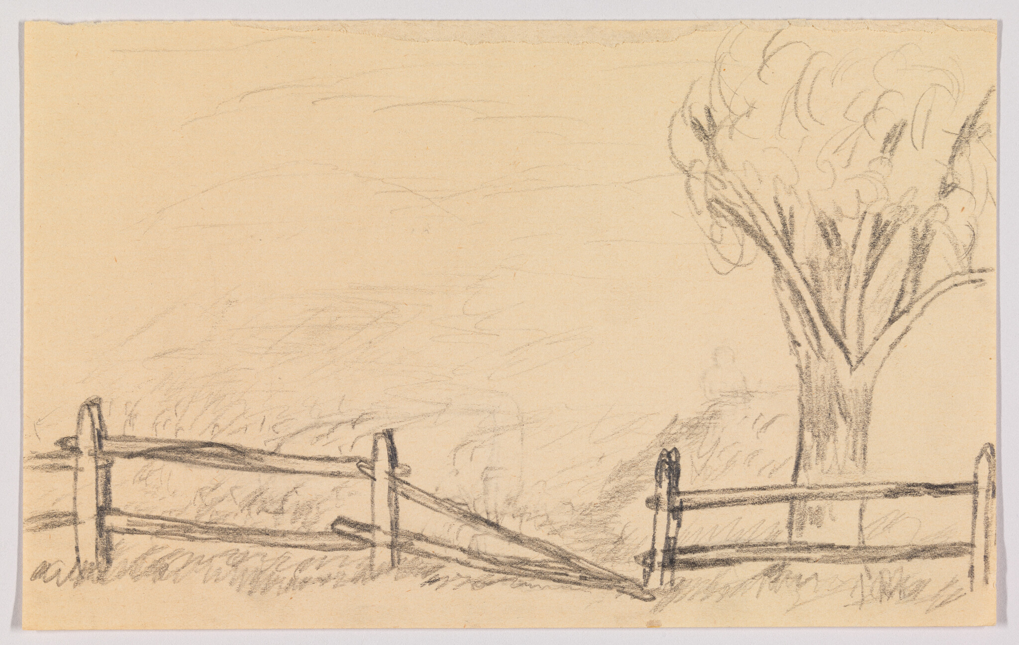 A simple pencil sketch shows a broken wooden fence leading to a large tree on the right.
