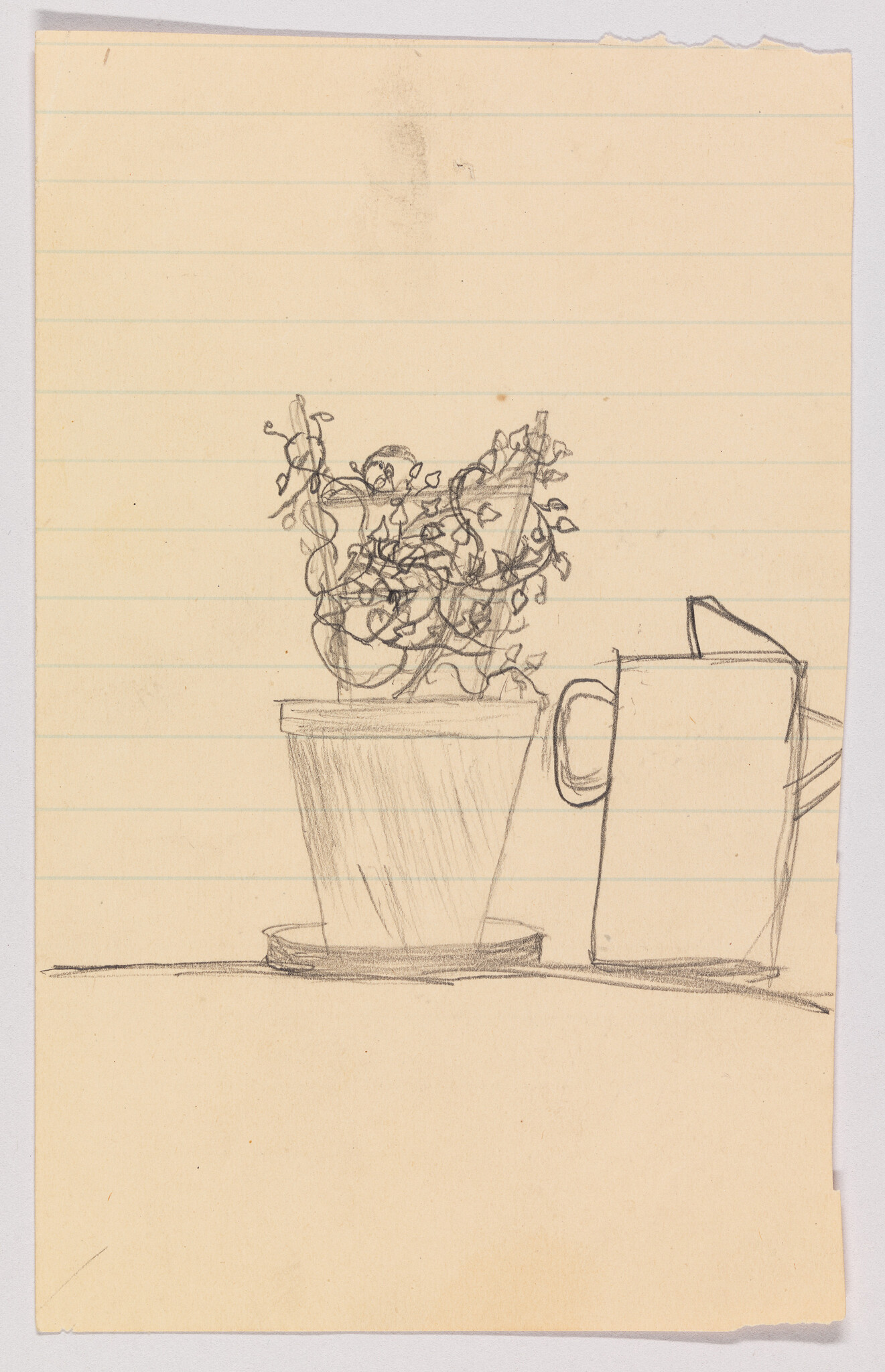 A leafy potted plant with trailing vines sits beside a tall watering can on a table.
