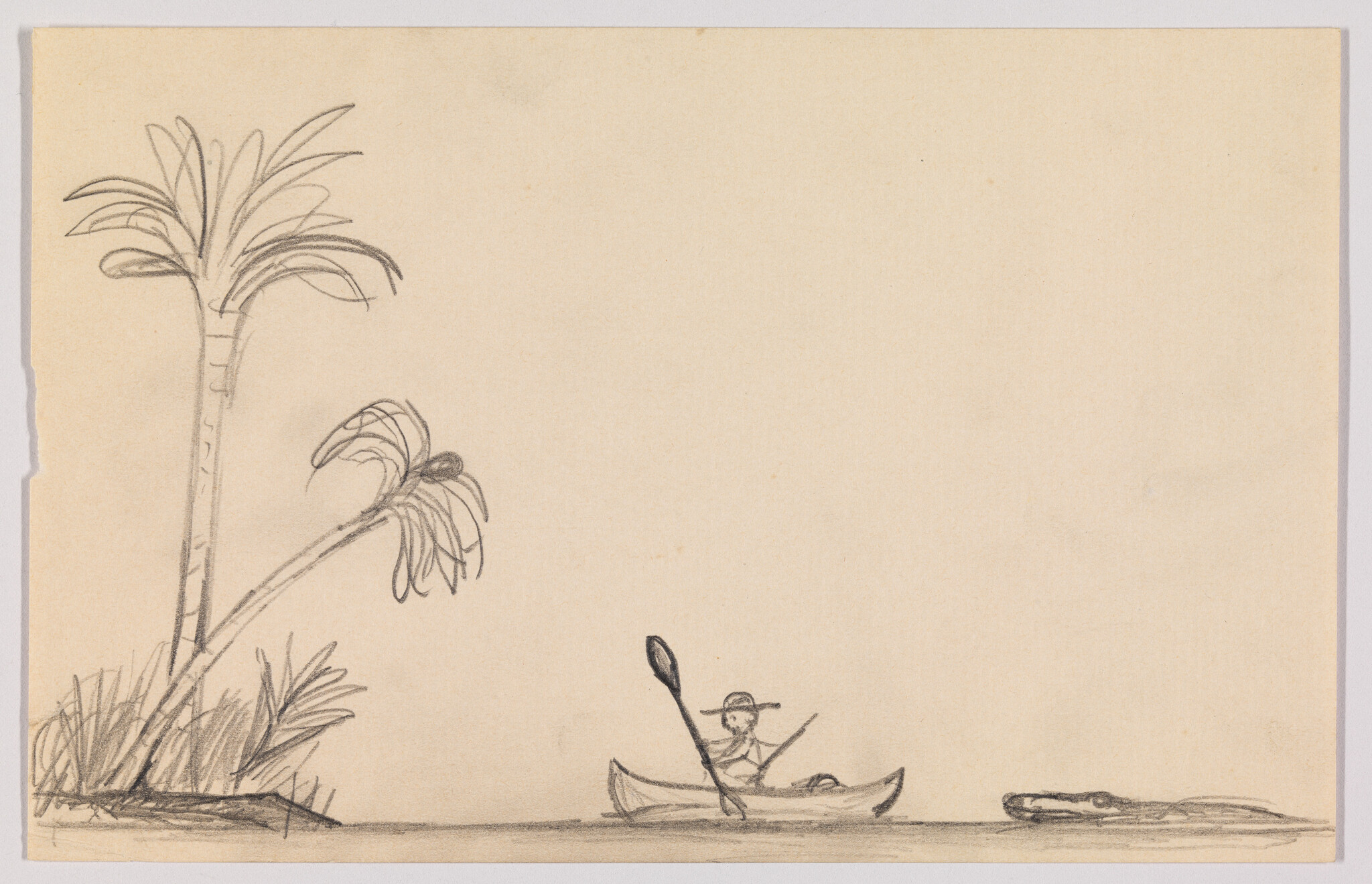 Person paddling a canoe near palm trees while an alligator watches from the water.