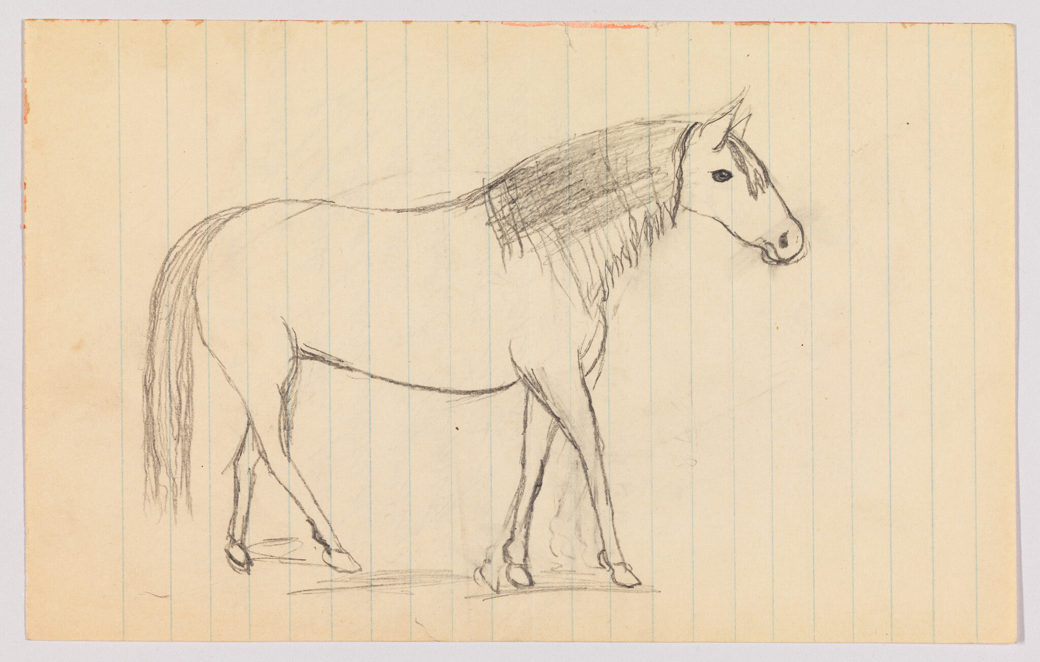A pencil sketch of a horse walking to the right on lined notebook paper.