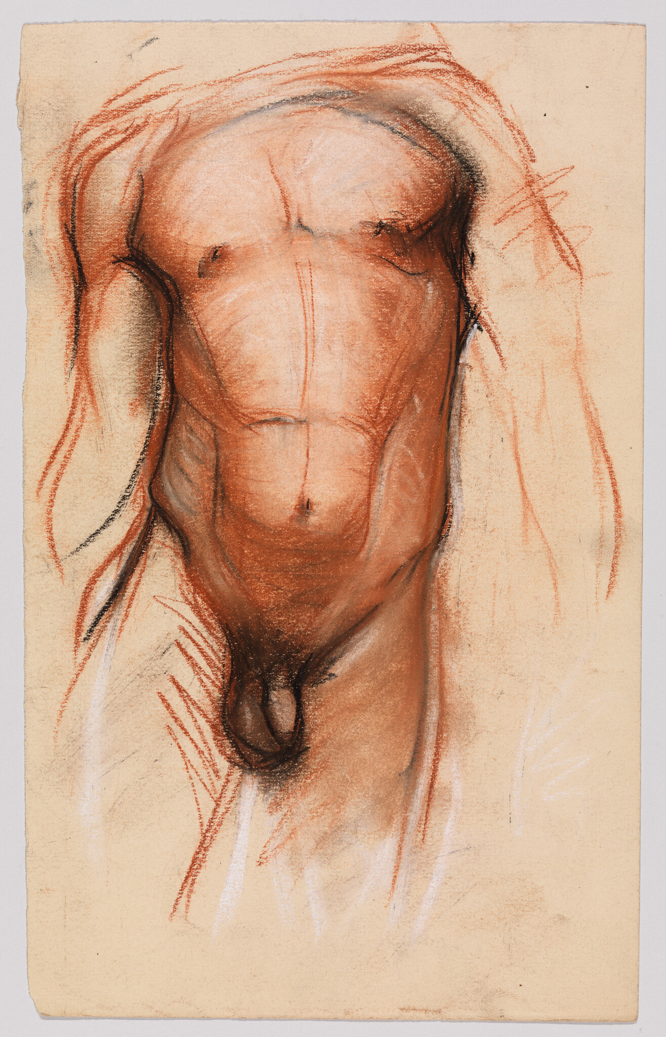 Nude male torso sketch in warm tones showing chest, abdomen, and genitals.