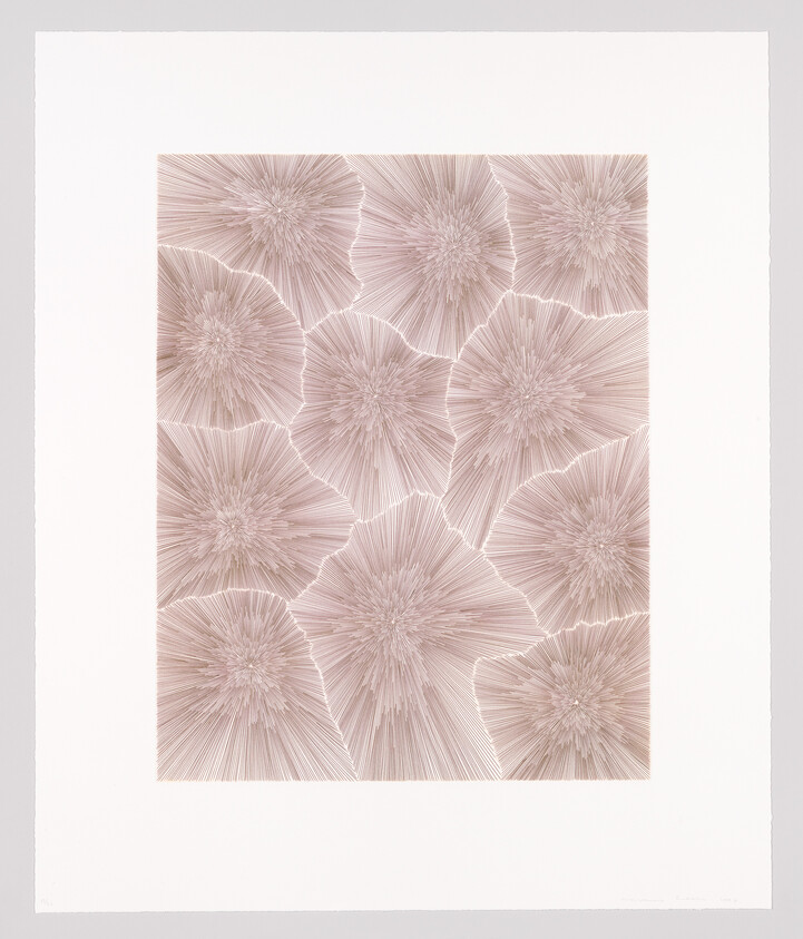 Abstract artwork of soft pink-beige radiating starburst clusters resembling flowers on a white mat.