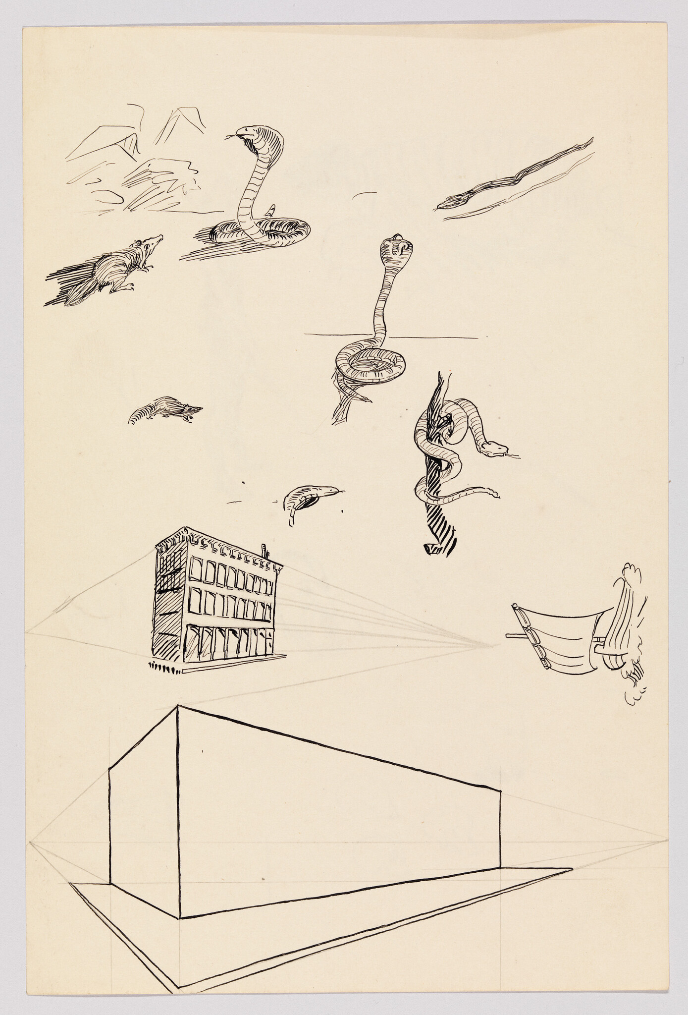 Several ink sketches of cobras, small animals, and perspective studies of buildings.