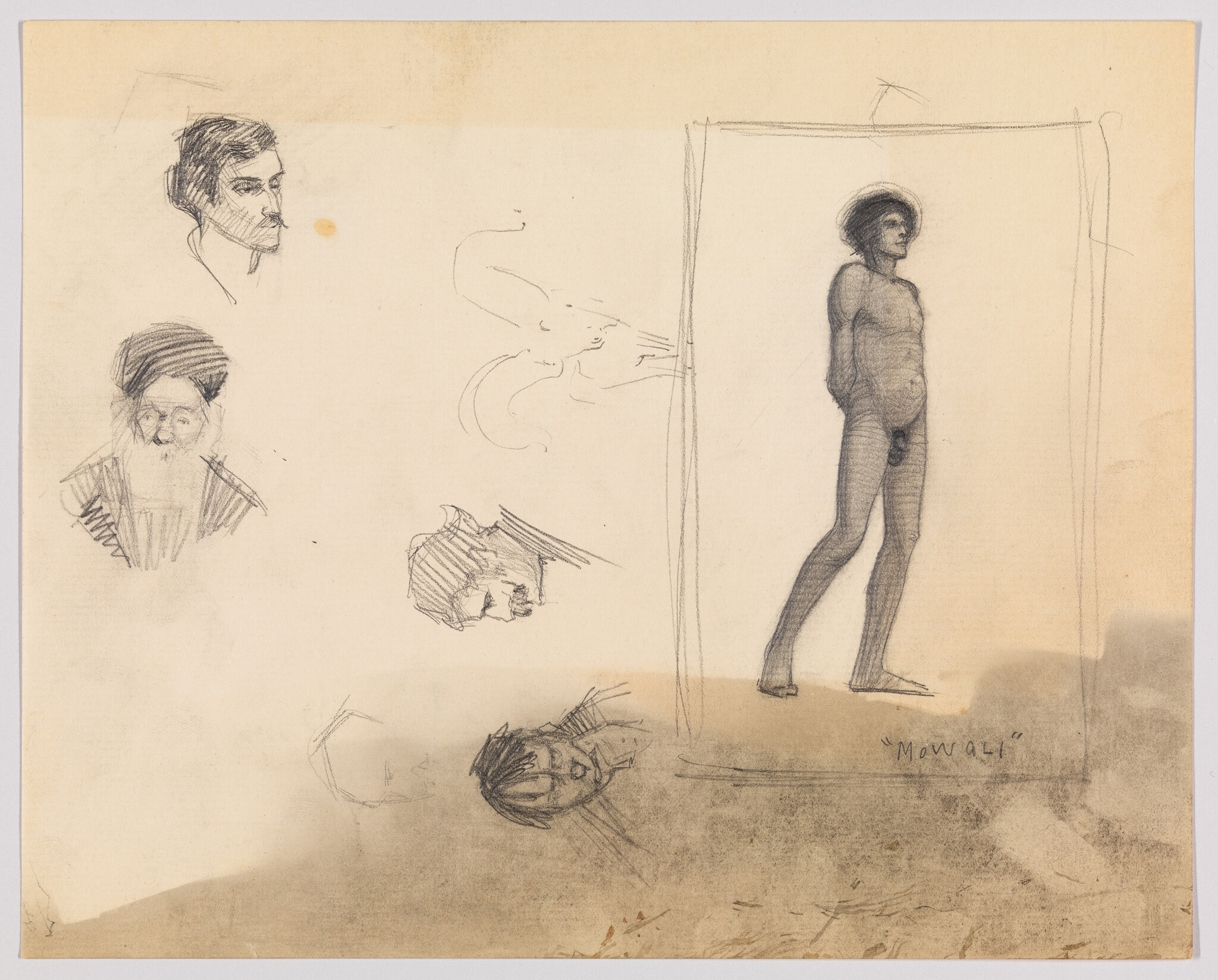 Standing nude male model sketched within a rectangle, surrounded by several small head studies.