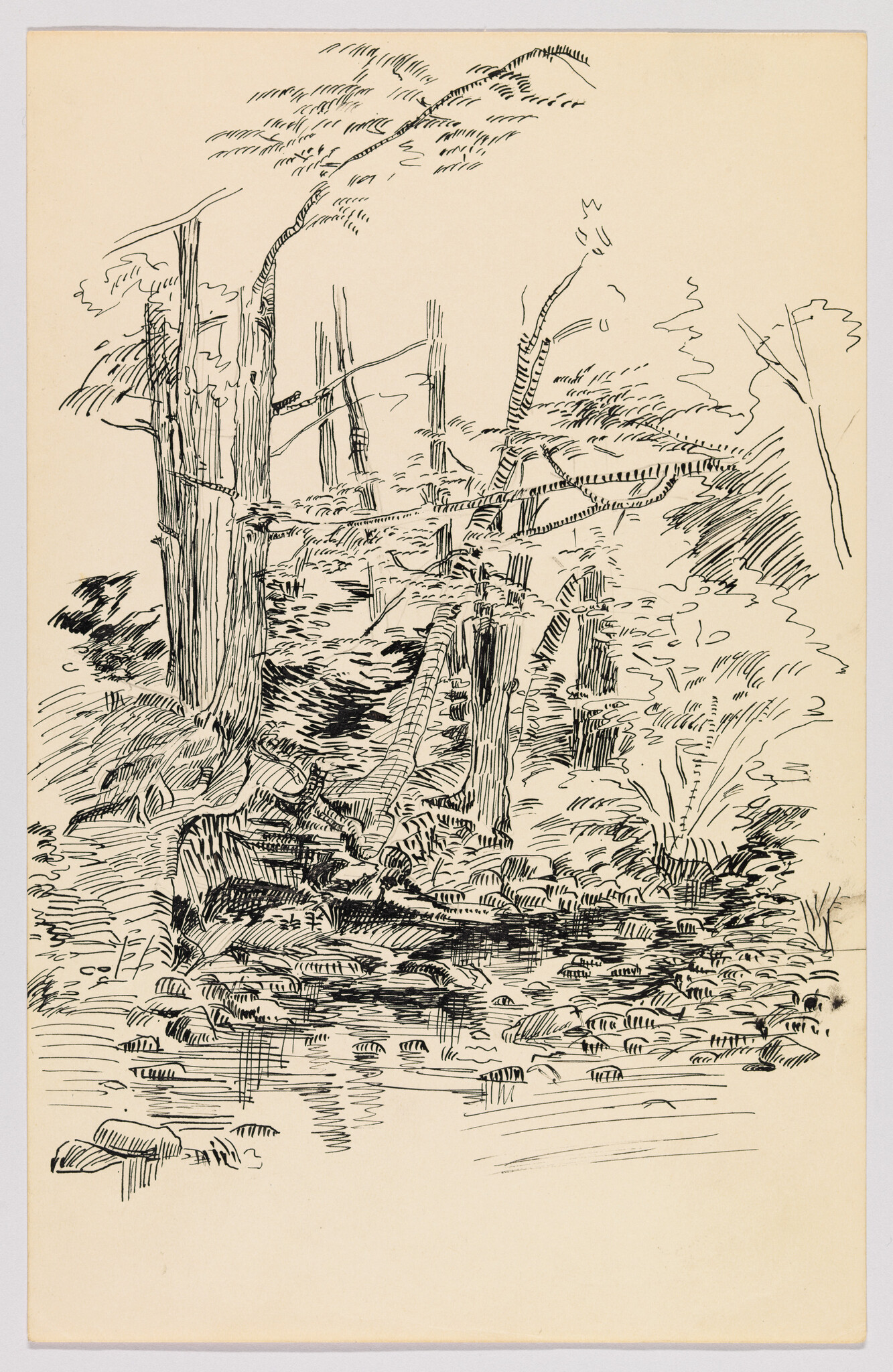 Ink sketch on cream paper depicting a rough, natural landscape with a variety of trees and foliage. The drawing style is loose and expressive, with visible lines and strokes conveying texture and movement in the vegetation.