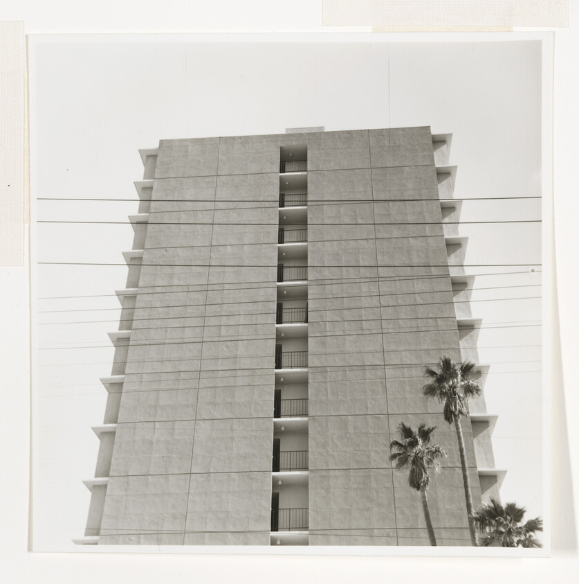 Tall concrete apartment building with central balcony stack, power lines crossing and palm trees at the base.