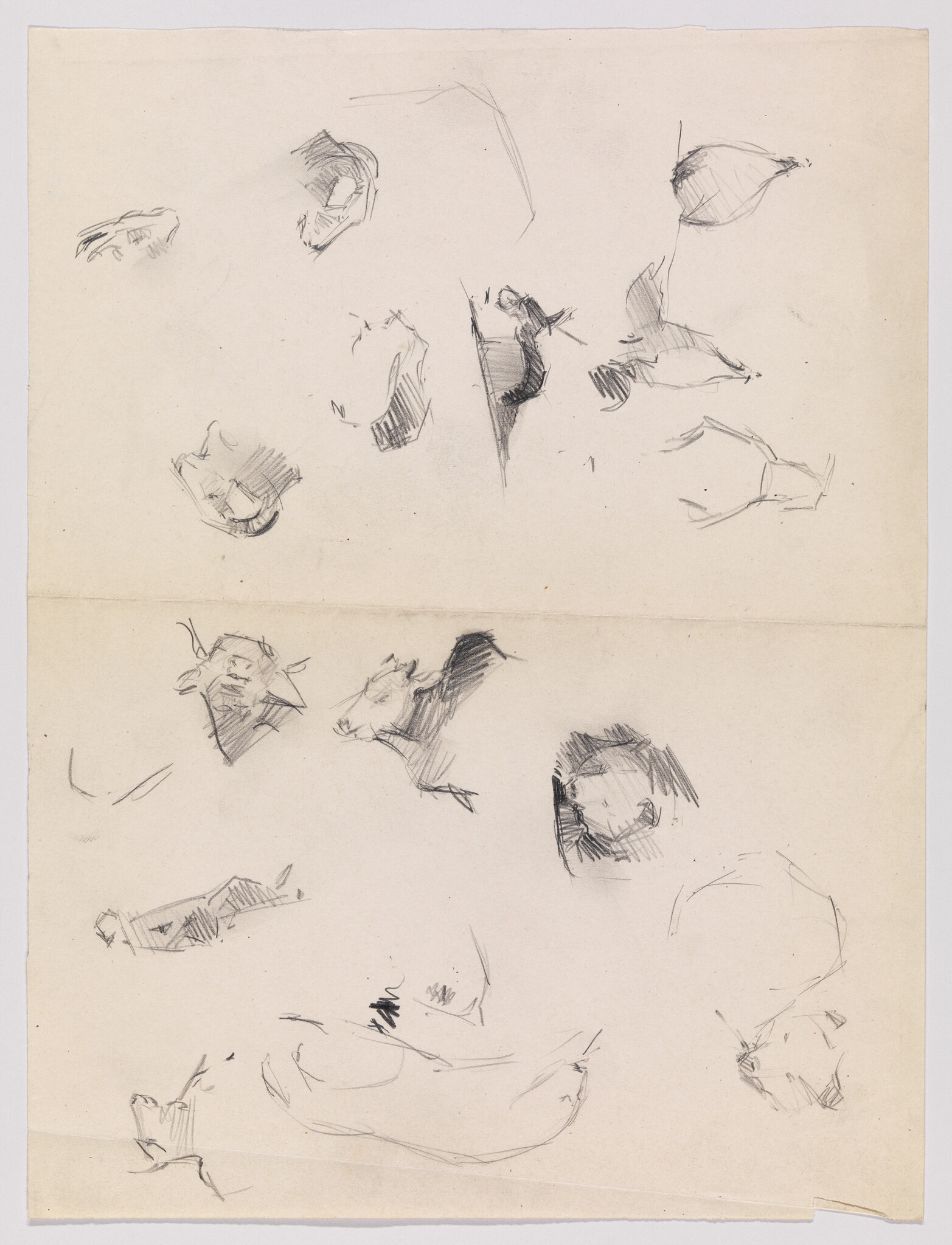 Several quick pencil sketches of animal heads and facial studies scattered across a sheet of paper.