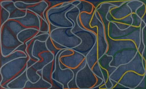 Curving multicolored lines weave and overlap across a deep blue background.