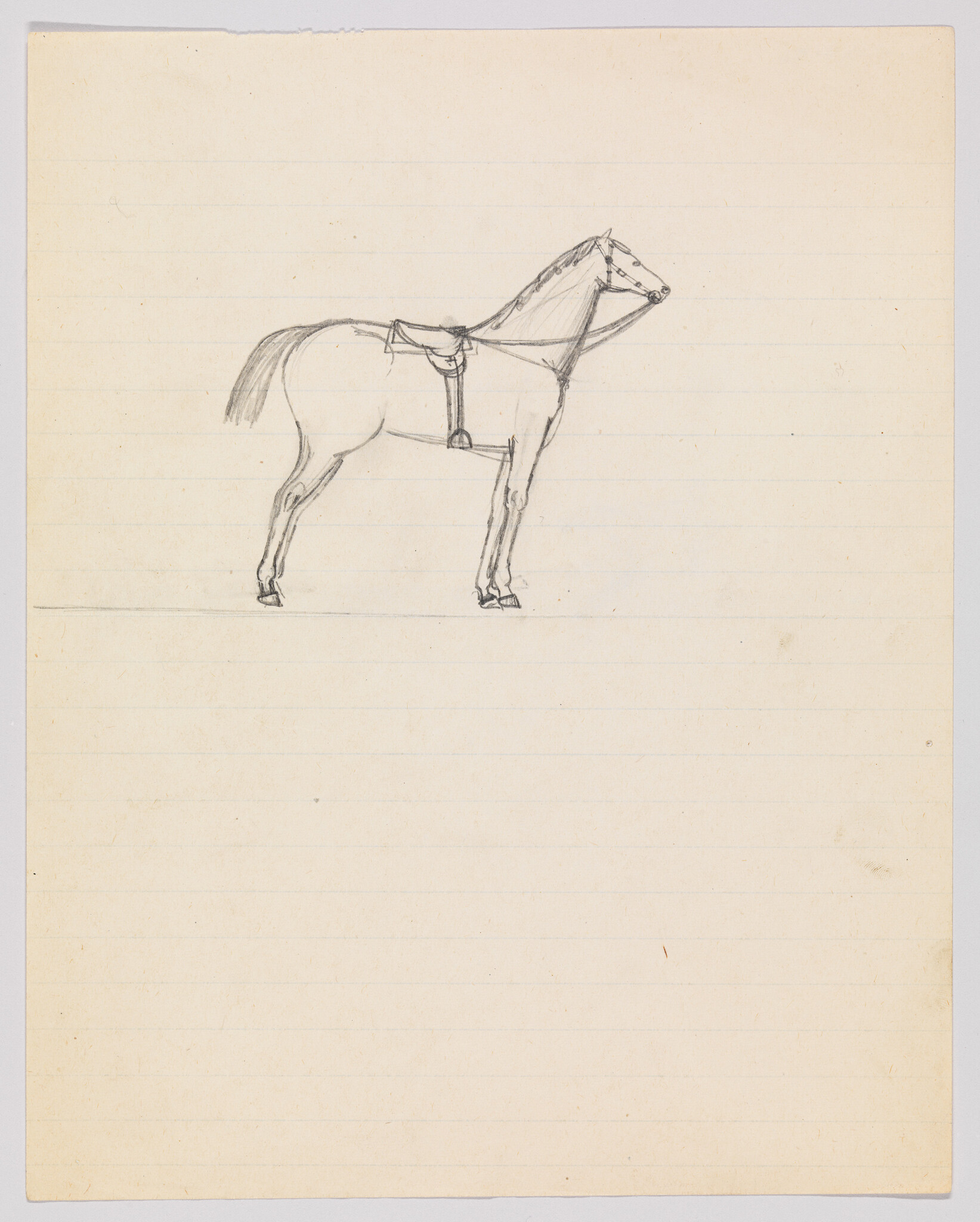 A pencil sketch of a horse with a saddle, depicted in profile on lined paper. The drawing is detailed, showing the horse's mane, tail, and facial features, with shading to suggest musculature and form. The paper appears aged with some discoloration at the edges.