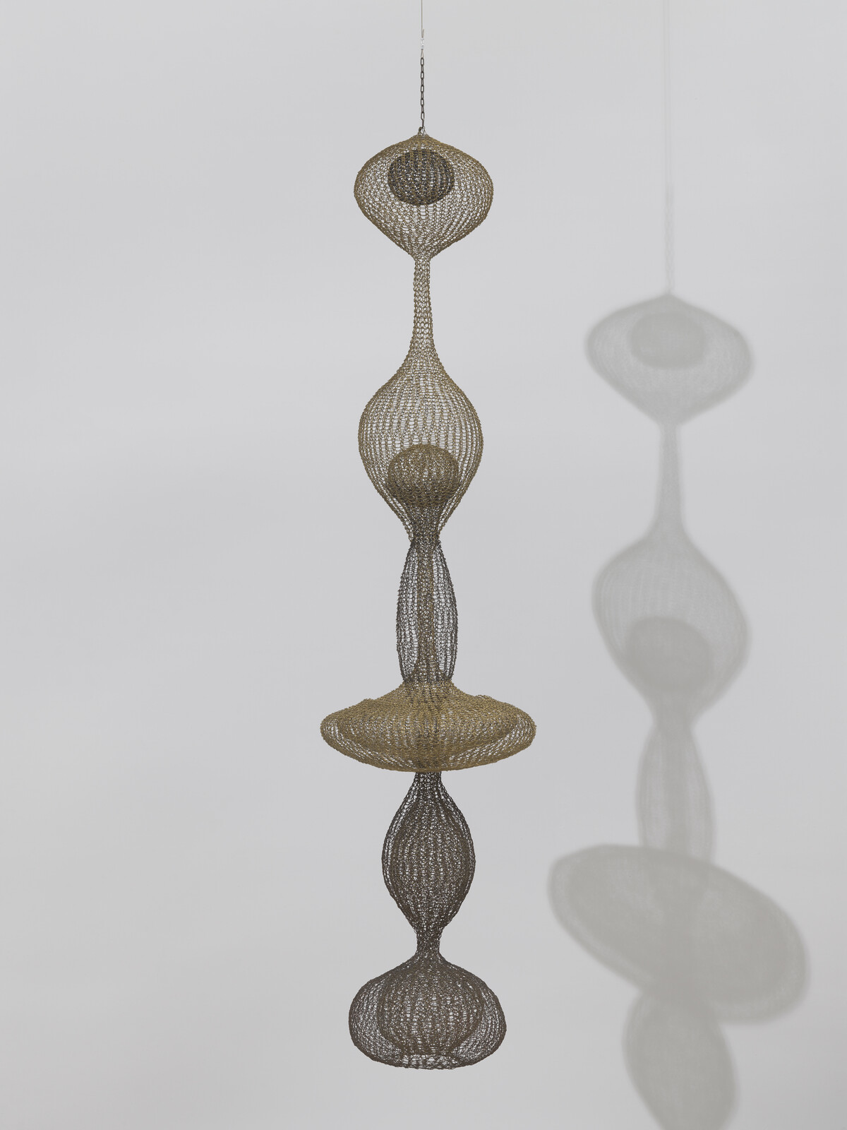 Mesh wires shaped into a long, fluid blob, like lava in a lava lamp