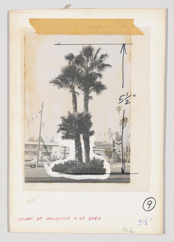 Three tall palm trees on a median with handwritten crop marks and measurement notes.