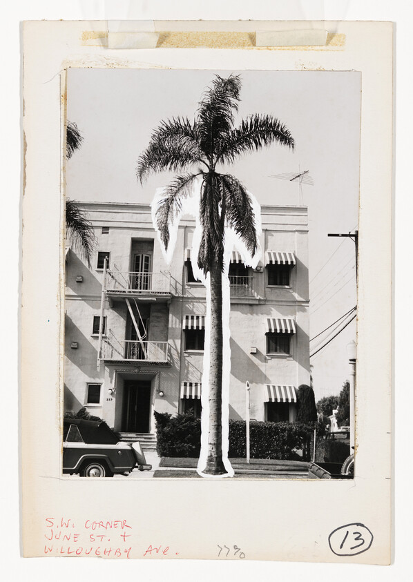 Tall palm tree standing in front of a multi-story apartment building with striped awnings.