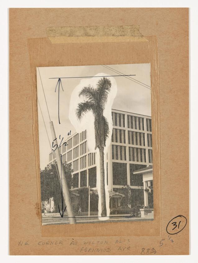 Tall palm tree stands in front of a mid-century office building with hand-drawn arrows and measurements.