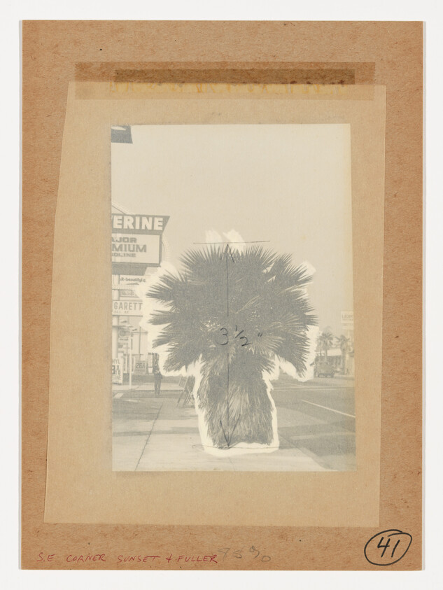 A palm tree cutout taped to a mounted photograph of a city sidewalk and storefronts.