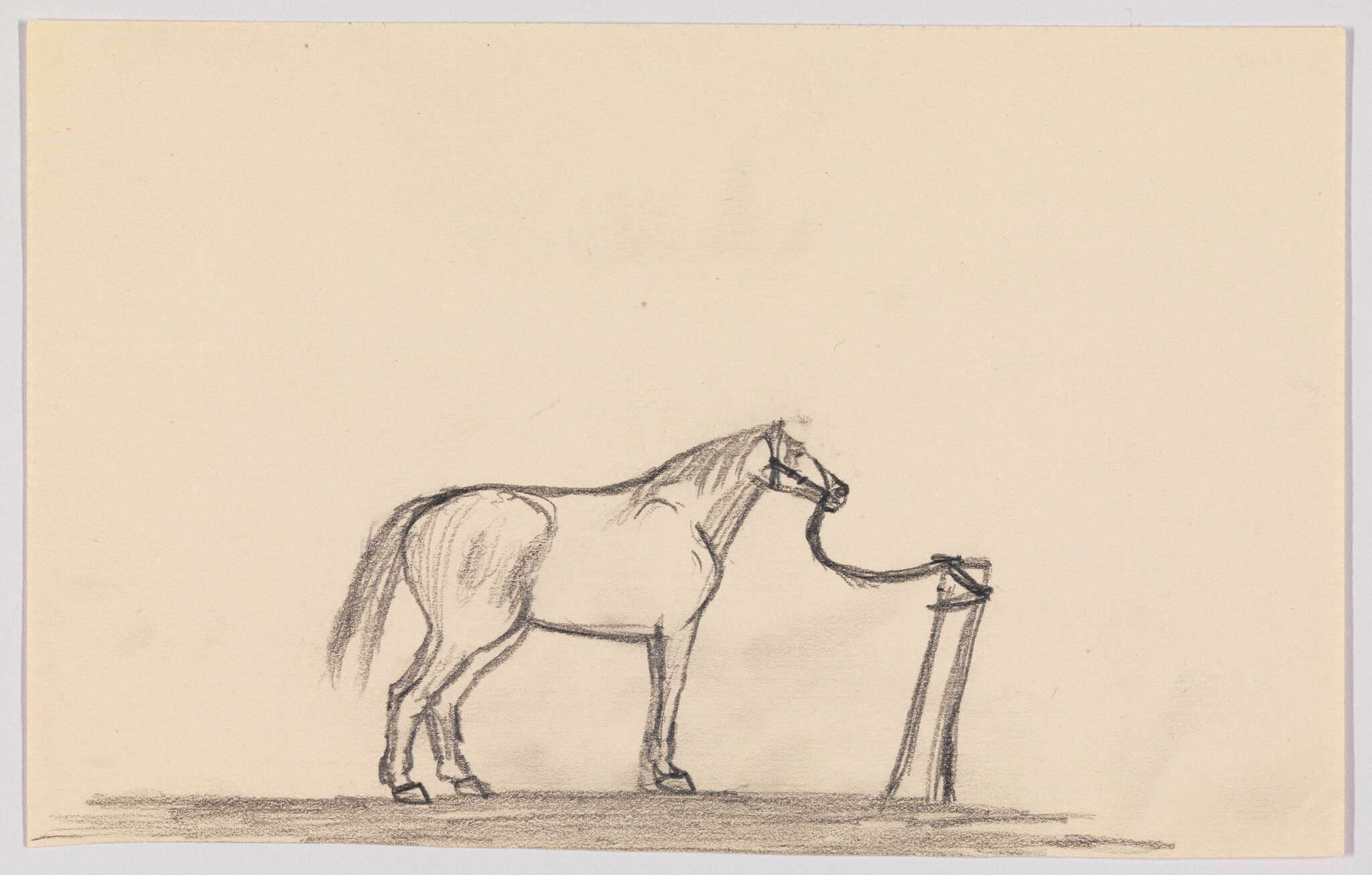A pencil sketch of a horse standing to the left, tethered to a post by a rein. The drawing is on beige paper, and the horse is depicted in profile with its head turned slightly towards the post. The style is loose and expressive, capturing the essence of the horse's form and stance.