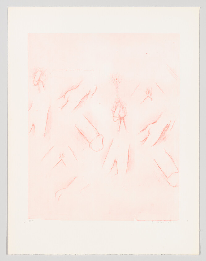 A soft pink-hued artwork featuring faint, sketch-like drawings of various flowers and botanical elements scattered across the canvas. The piece has a delicate and ethereal quality, with each floral form lightly outlined, suggesting a sense of impermanence or fragility. The artwork is bordered by a white margin, and there are inscriptions at the bottom indicating the edition number on the left and the artist's signature on the right.