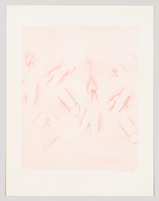 Multiple simple red pencil sketches of penises and genitals scattered across a pale paper background.