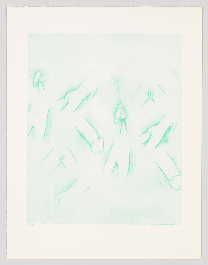 A light green monochromatic artwork featuring a series of abstract, sketch-like botanical forms scattered across the paper. Some shapes resemble leaves or petals, while others are more ambiguous. The image has a soft, ethereal quality, with the forms gently fading into the pale green background. There are handwritten inscriptions at the bottom and top edges of the image.