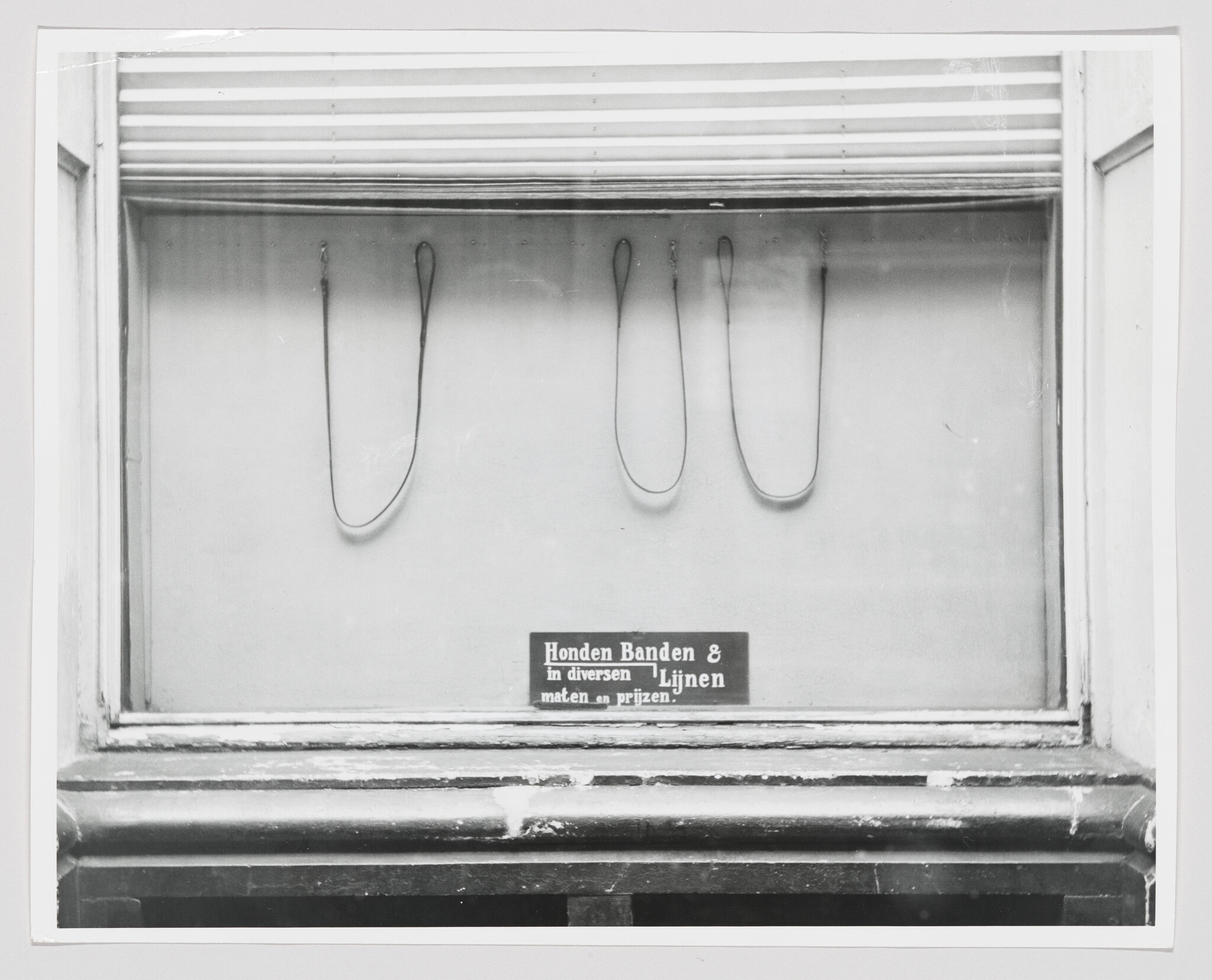A shop window shows four hanging dog leashes and a small sign advertising "Honden Banden & Lijnen."