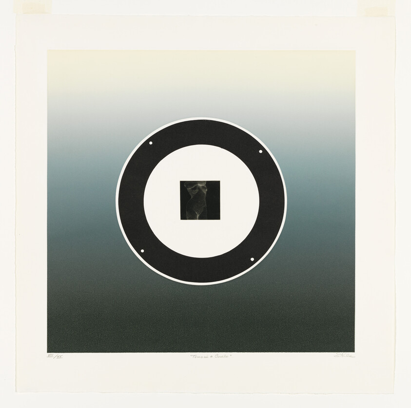 Large black and white concentric circle on green-gray gradient background with small central square containing abstract figure.