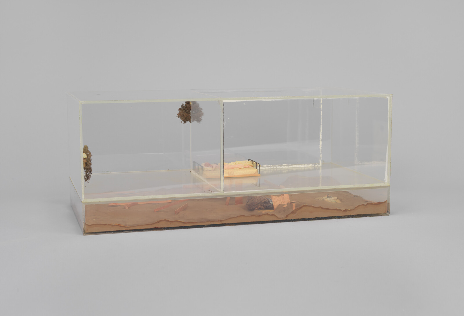 A clear rectangular display case contains a small bed on a sandy base with hanging moss.
