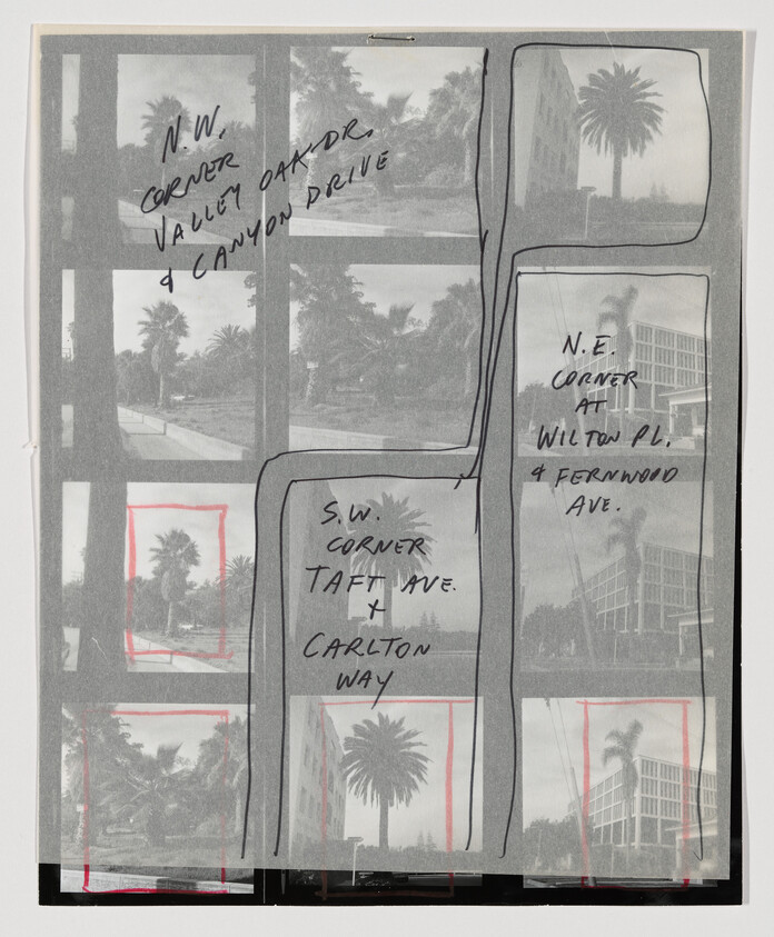 Contact sheet of palm tree street photos with handwritten notes and marked corners.